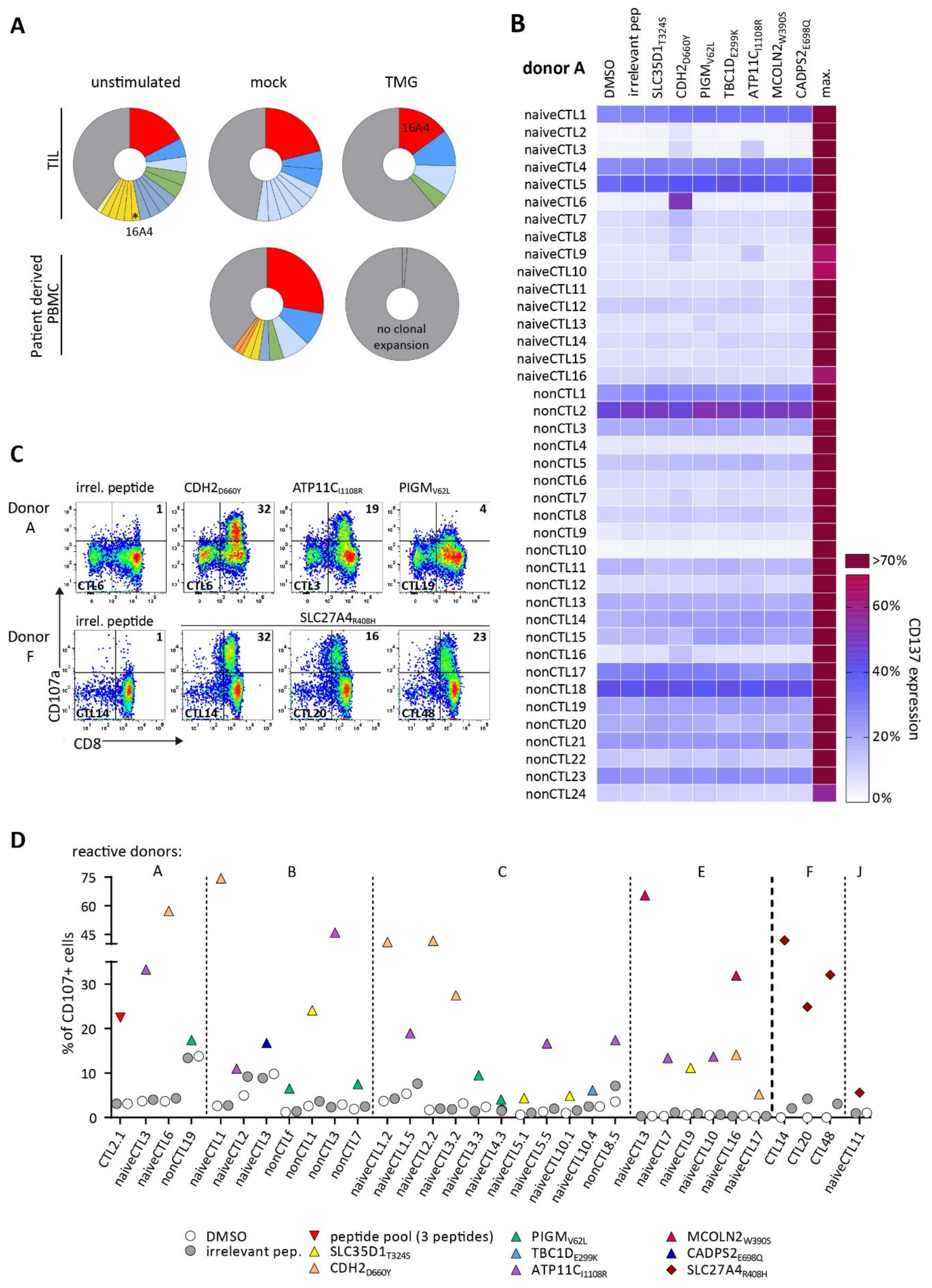 Cancers 14 01842 g001 Cancers 14 01842 g001