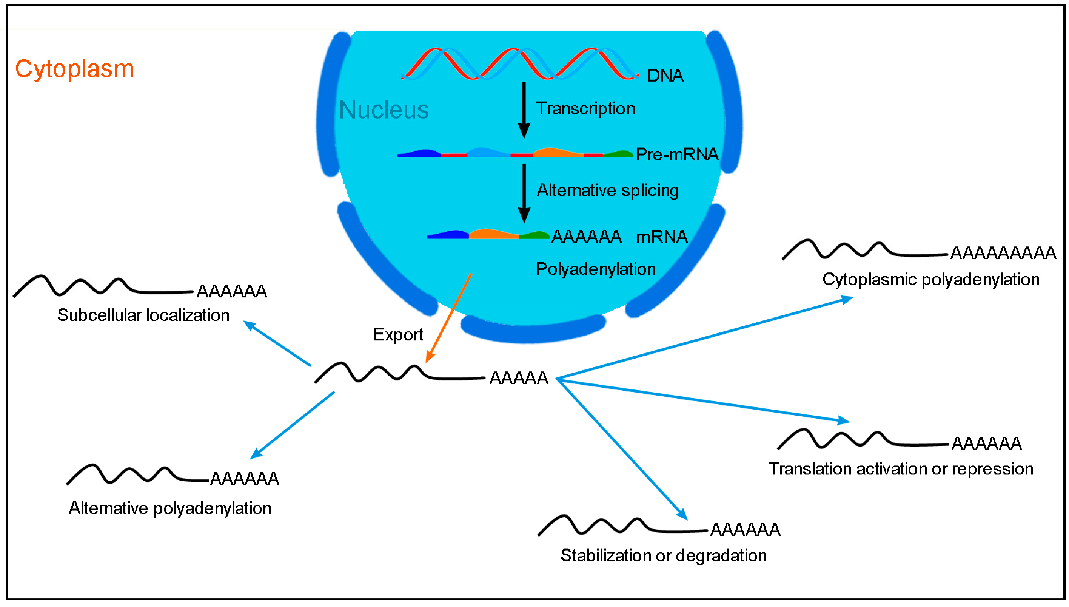Cancers 14 01843 g001