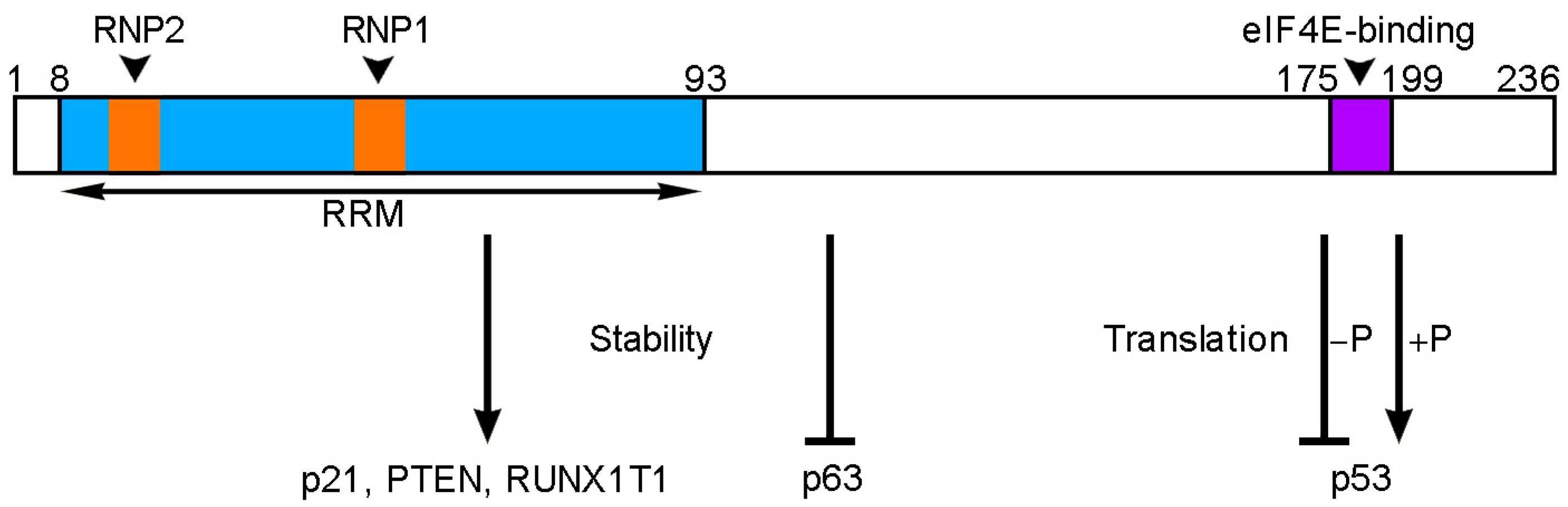 Cancers 14 01843 g002