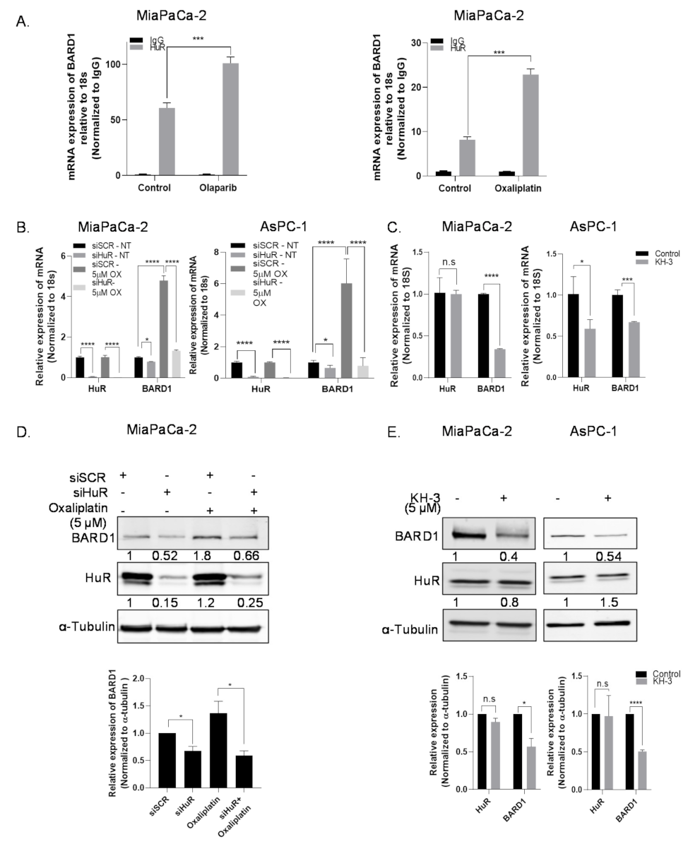 Cancers 14 01848 g002 550