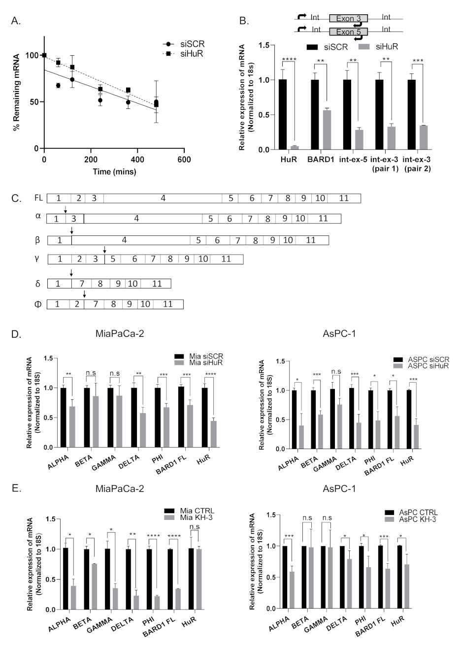 Cancers 14 01848 g003 550