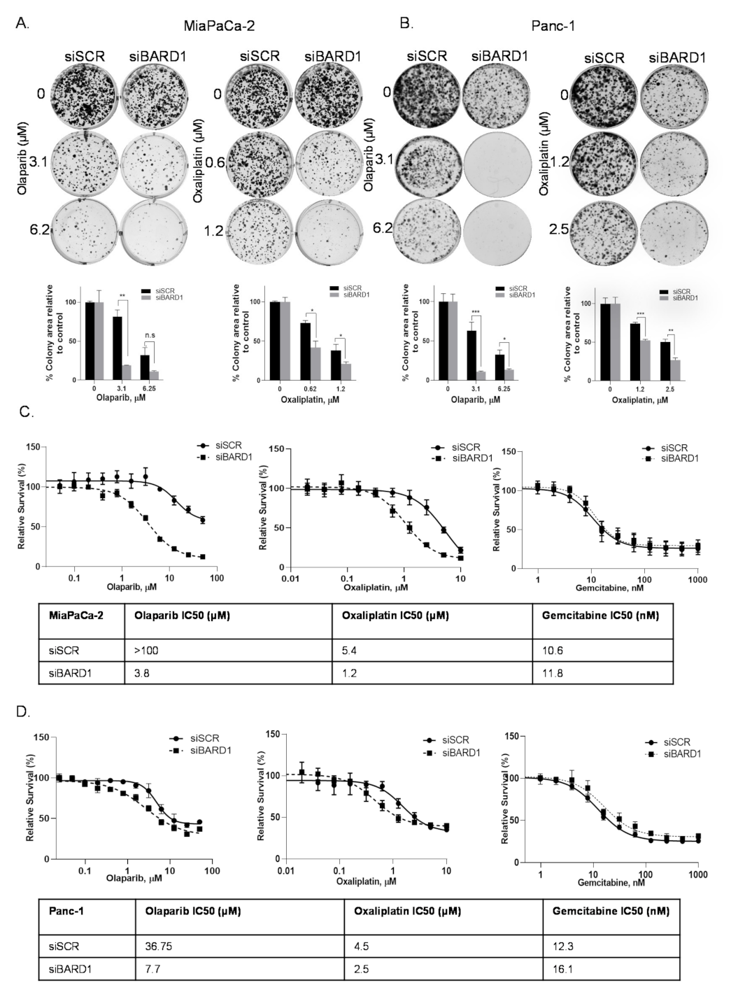 Cancers 14 01848 g004 550