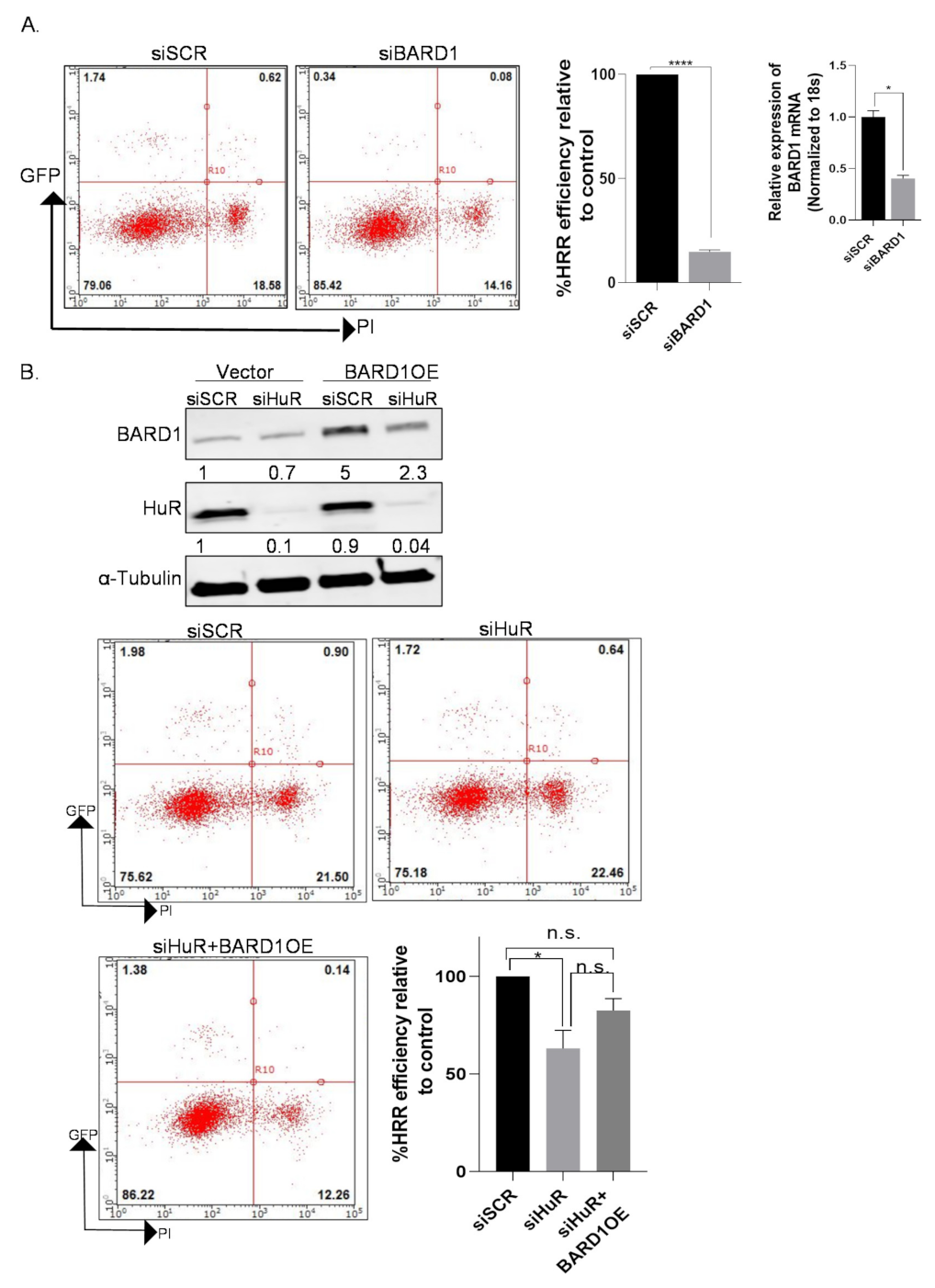 Cancers 14 01848 g006 550