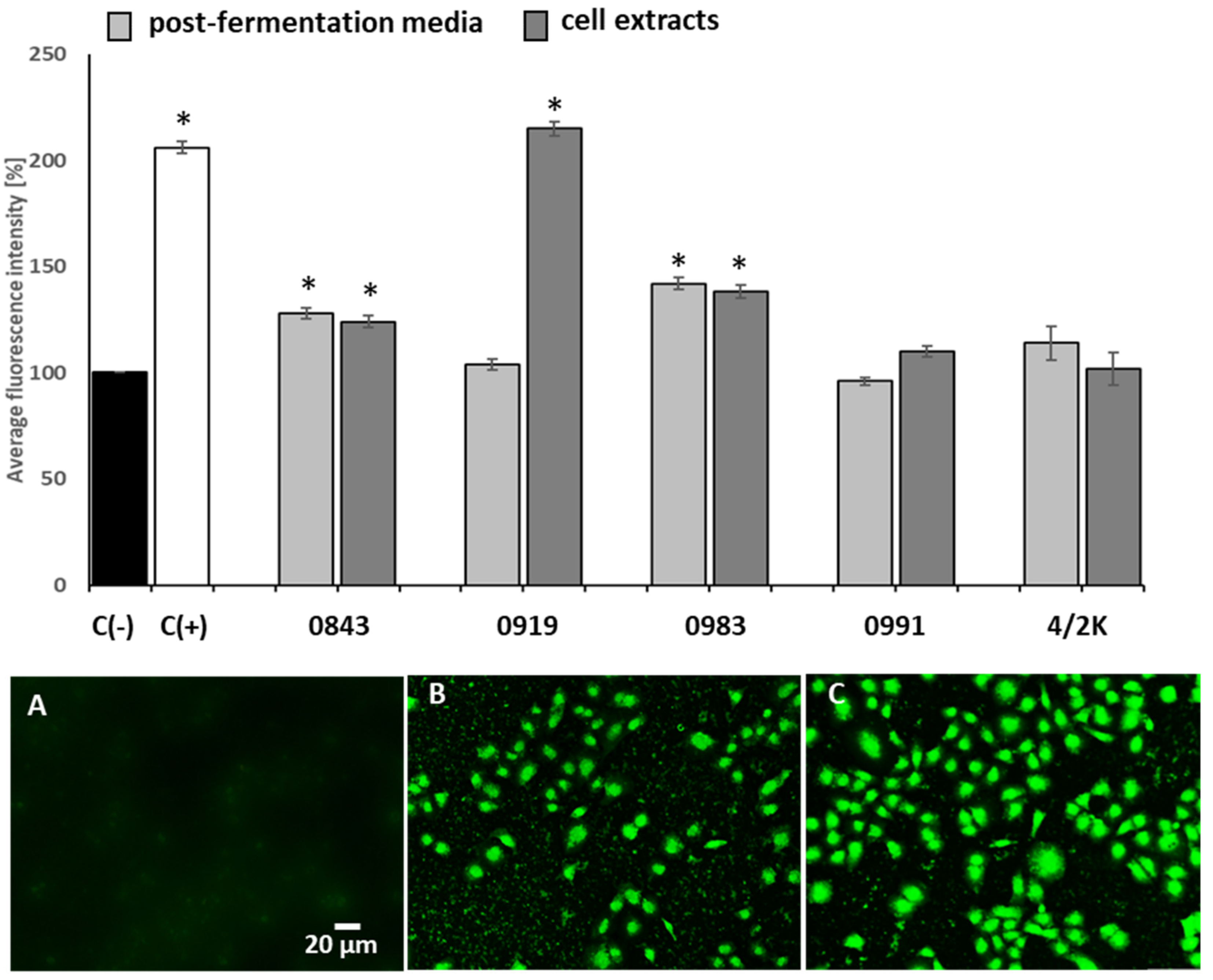 Cancers 14 01853 g002