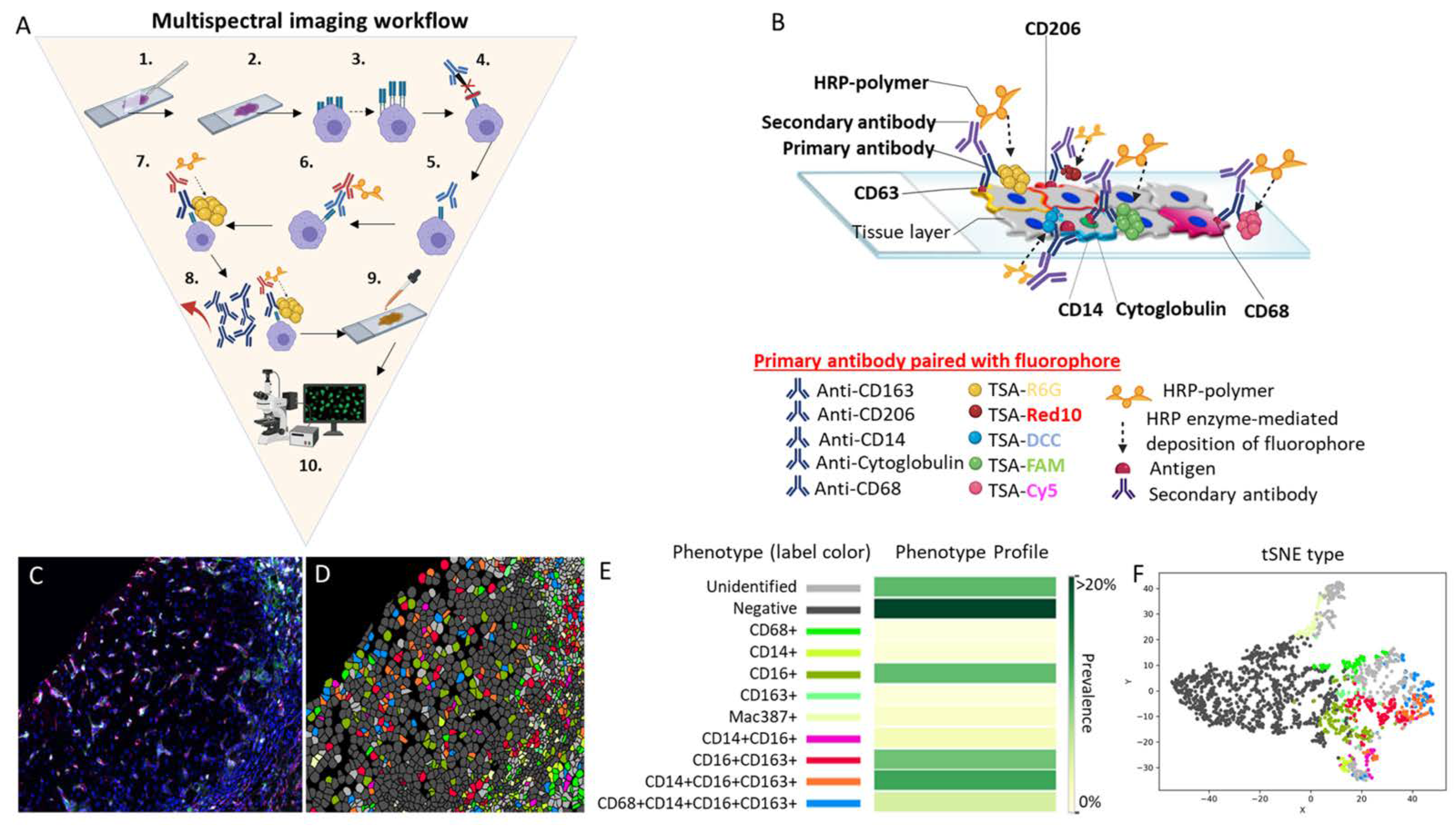 Cancers 14 01861 g001 Cancers 14 01861 g001