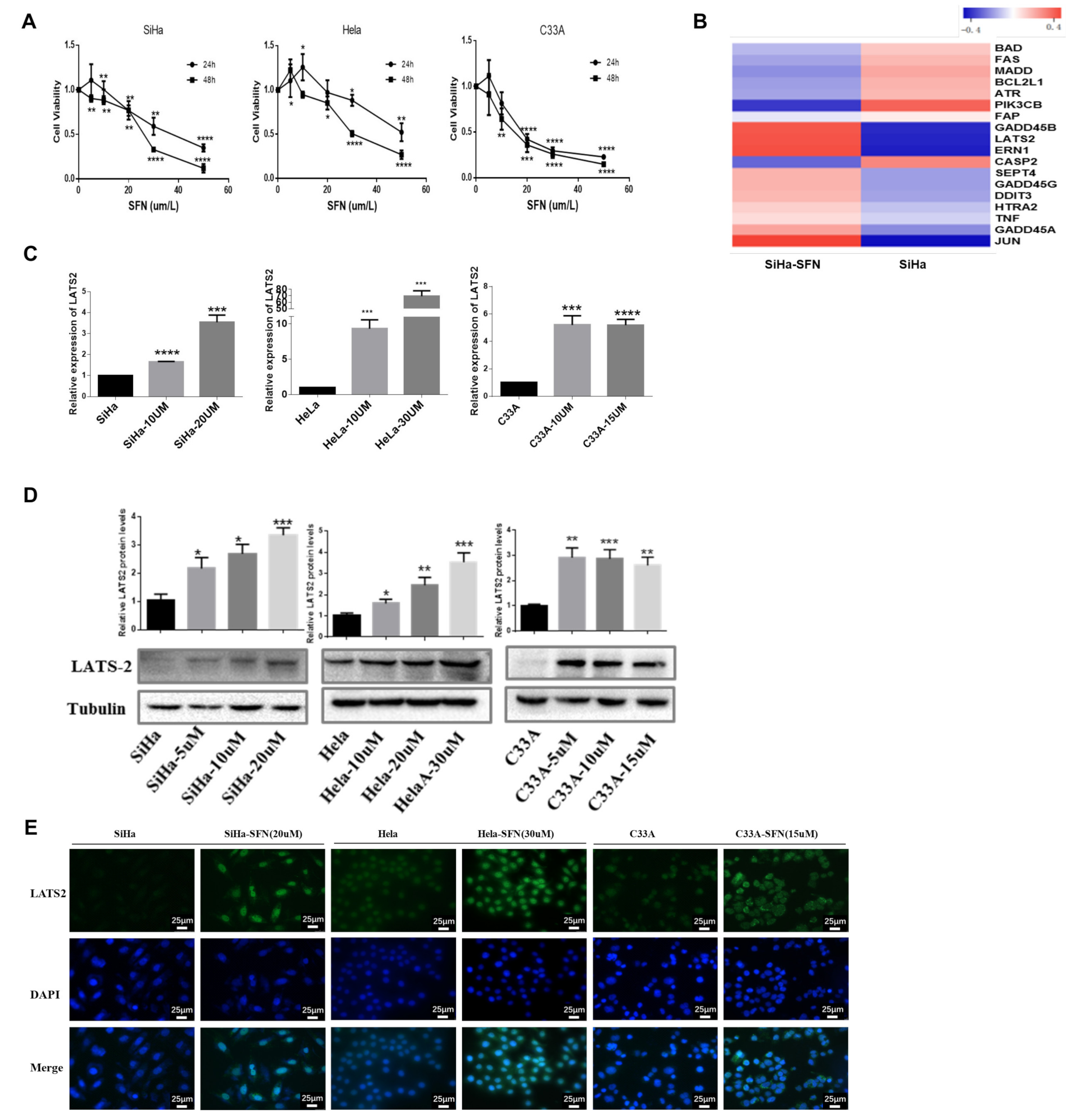 Cancers 14 01872 g001 550