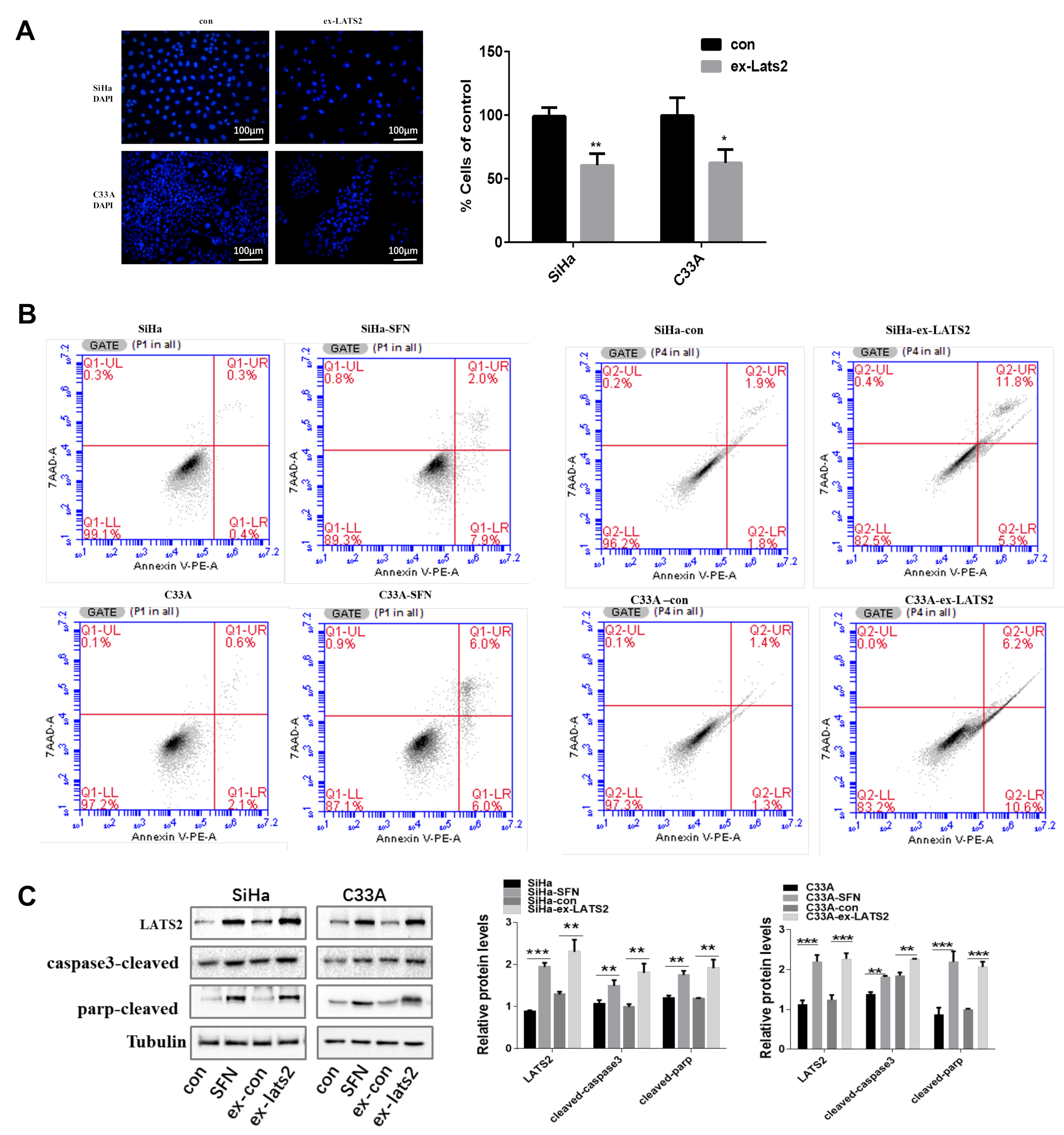 Cancers 14 01872 g002 550