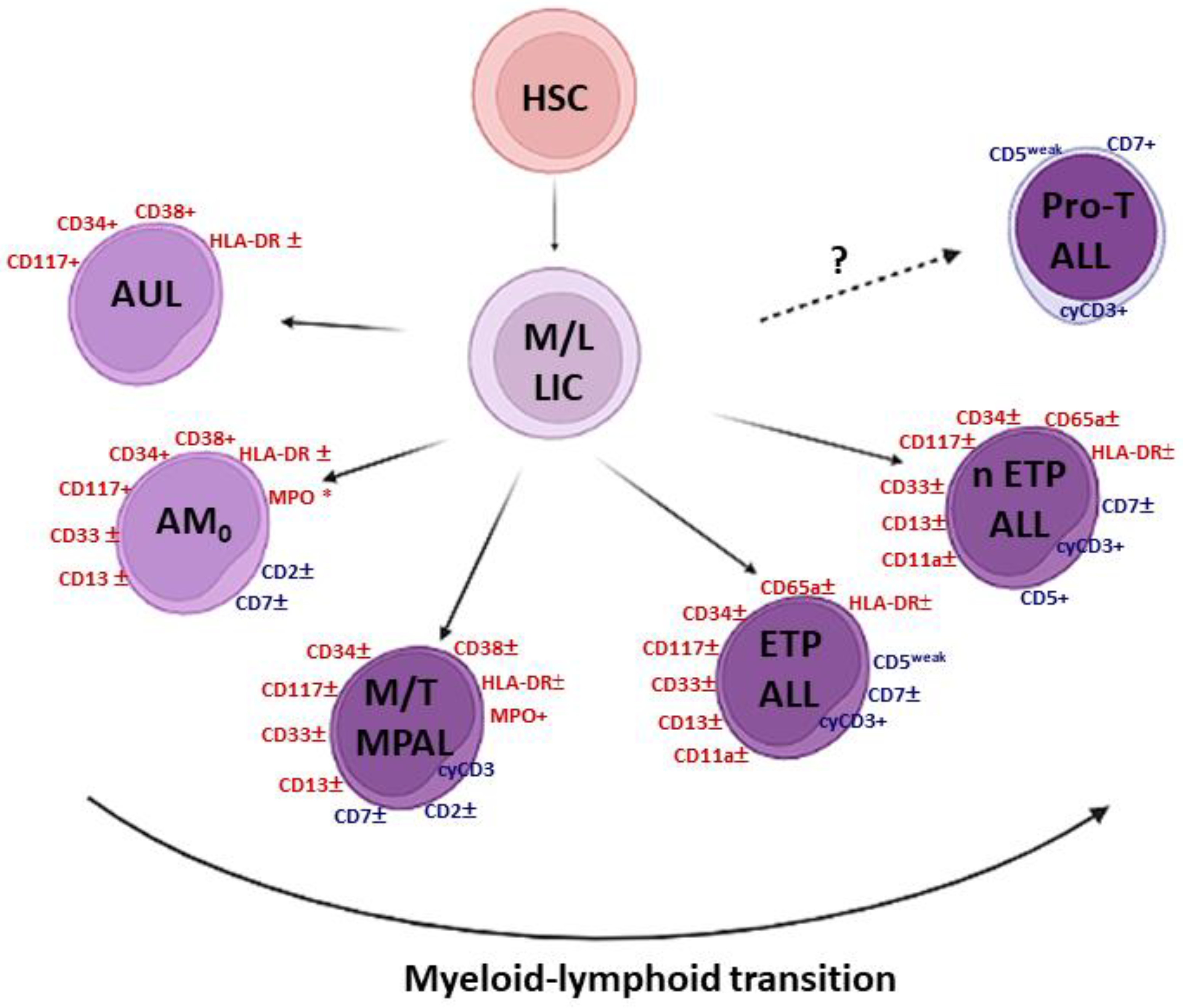 Cancers 14 01873 g001 Cancers 14 01873 g001