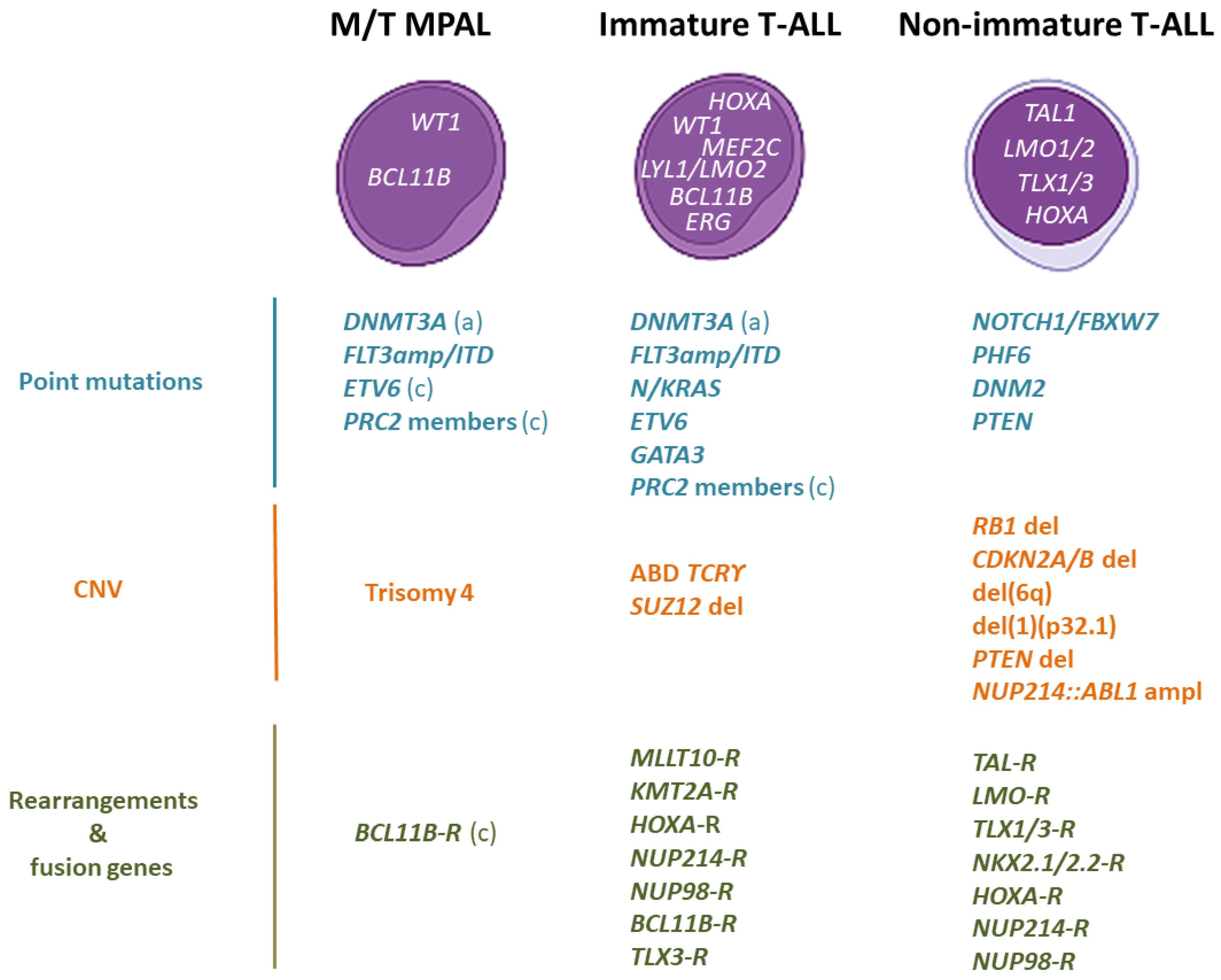 Cancers 14 01873 g002 Cancers 14 01873 g002