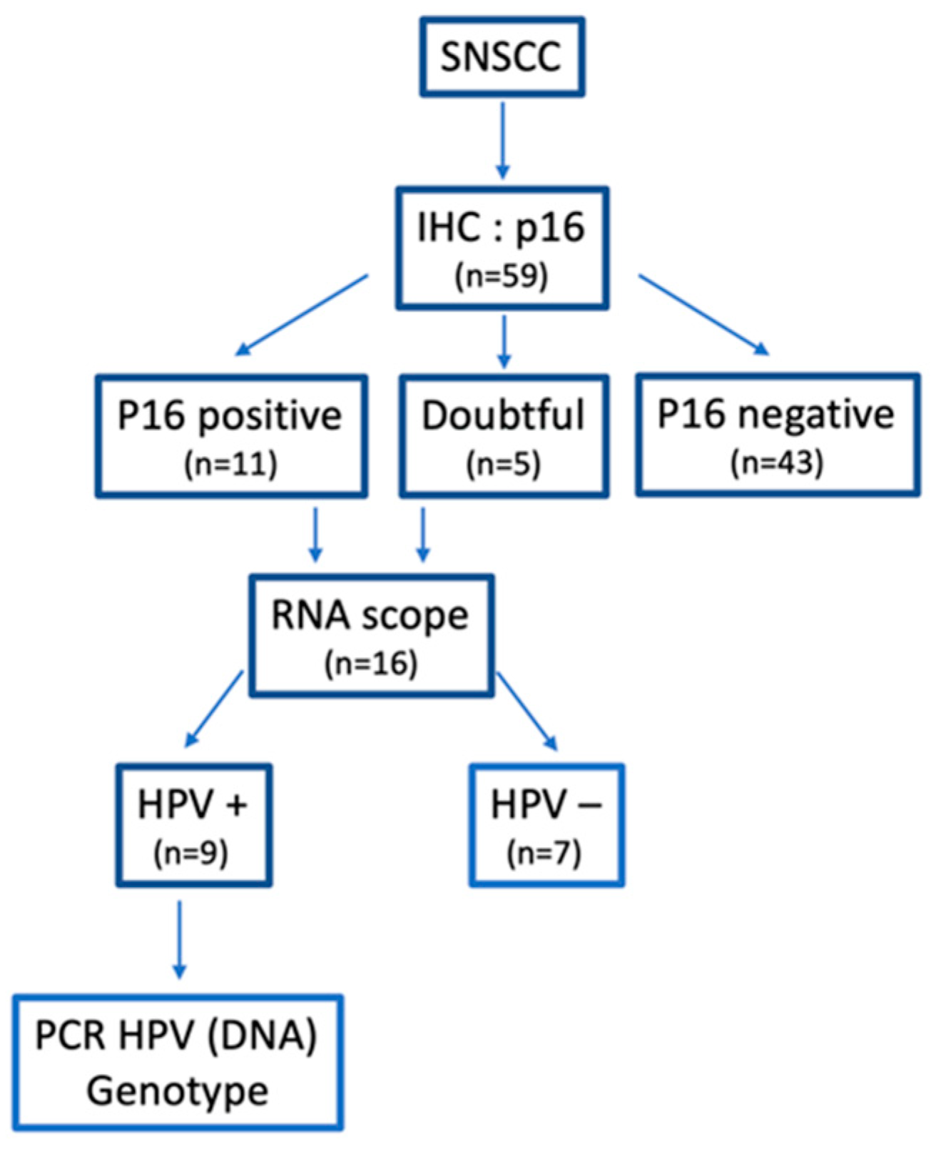 Cancers 14 01874 g002