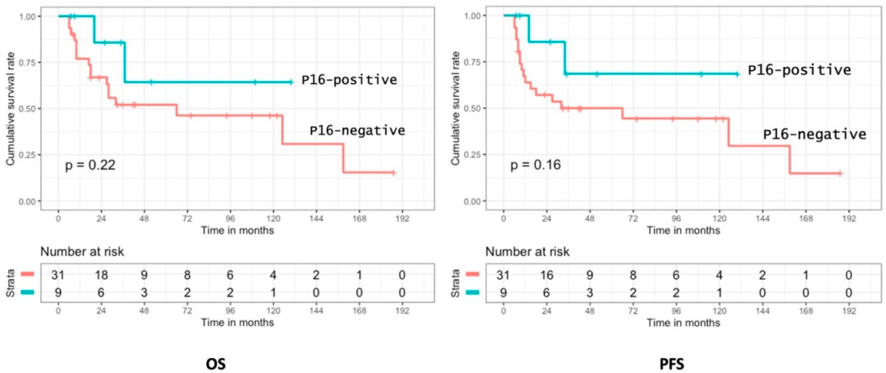 Cancers 14 01874 g005