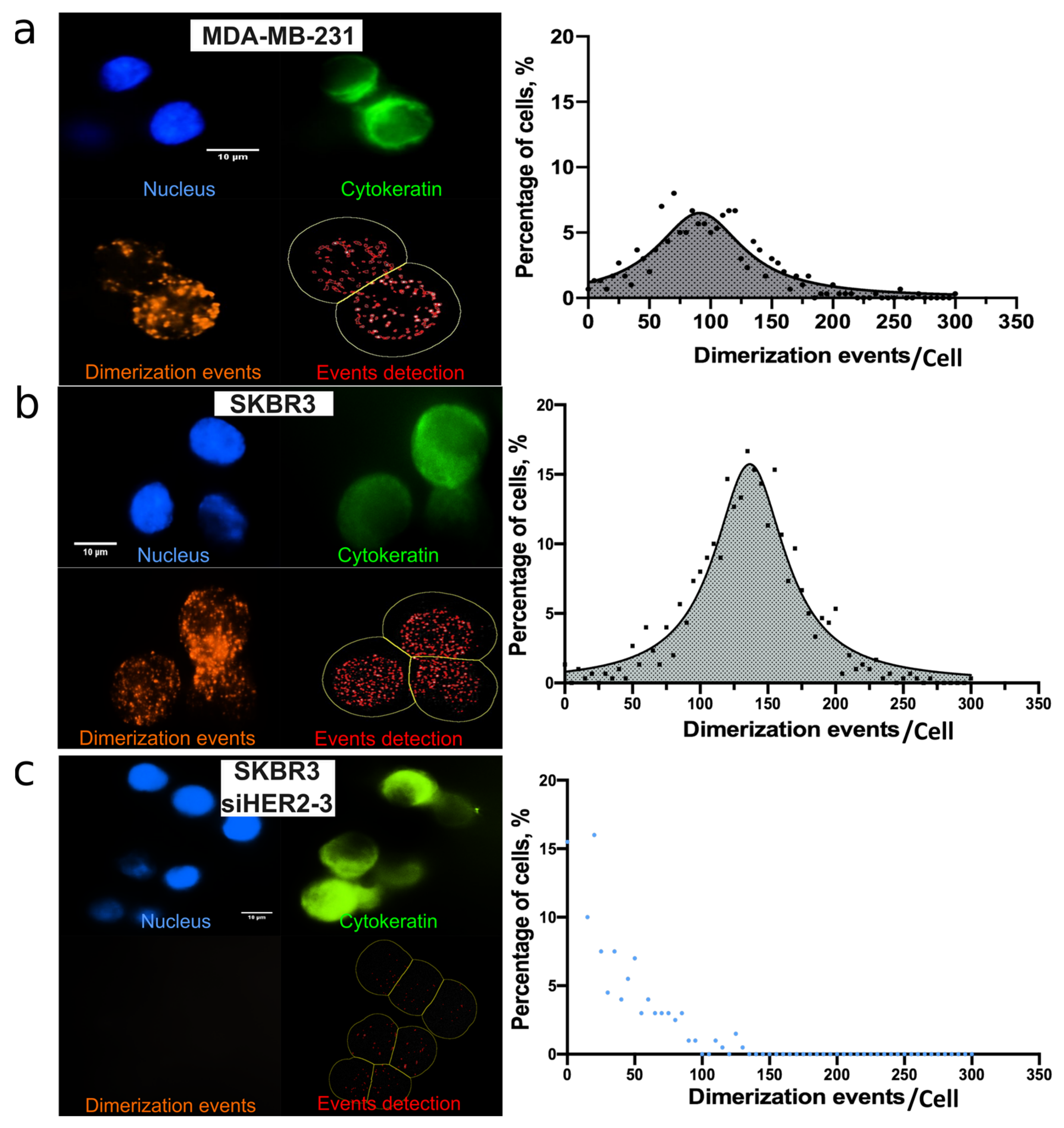 Cancers 14 01890 g003 550