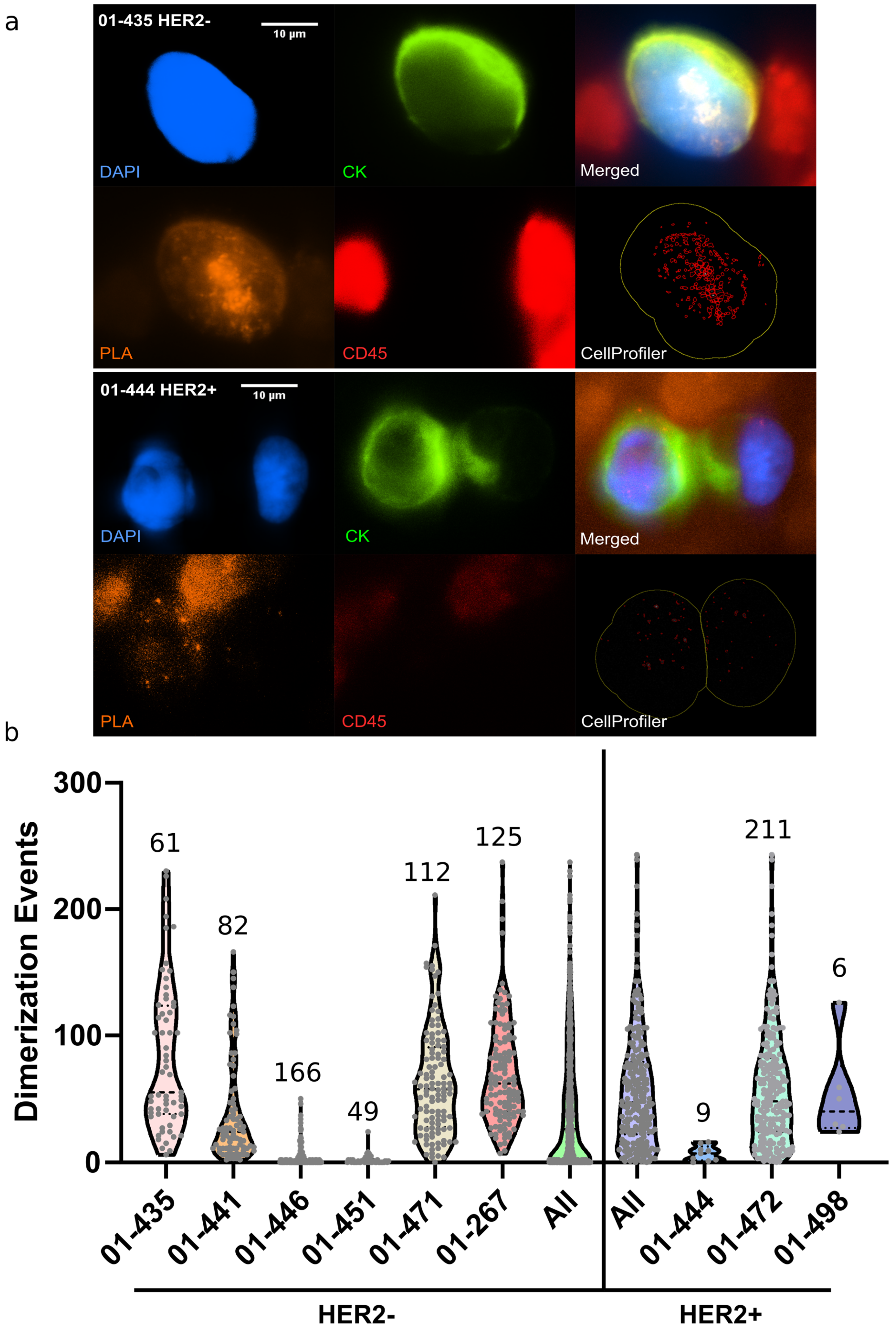 Cancers 14 01890 g004 550