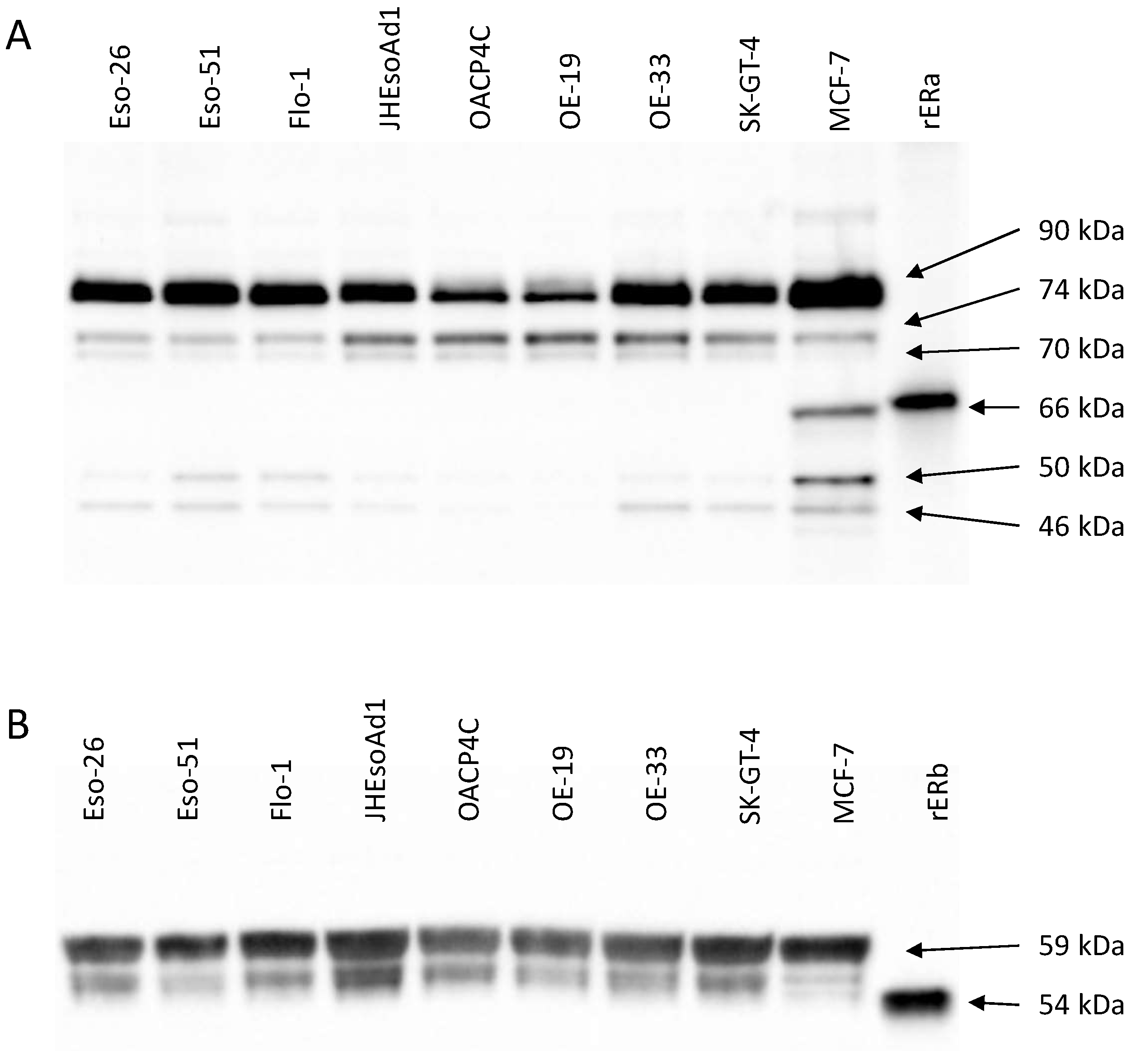 Cancers 14 01891 g001
