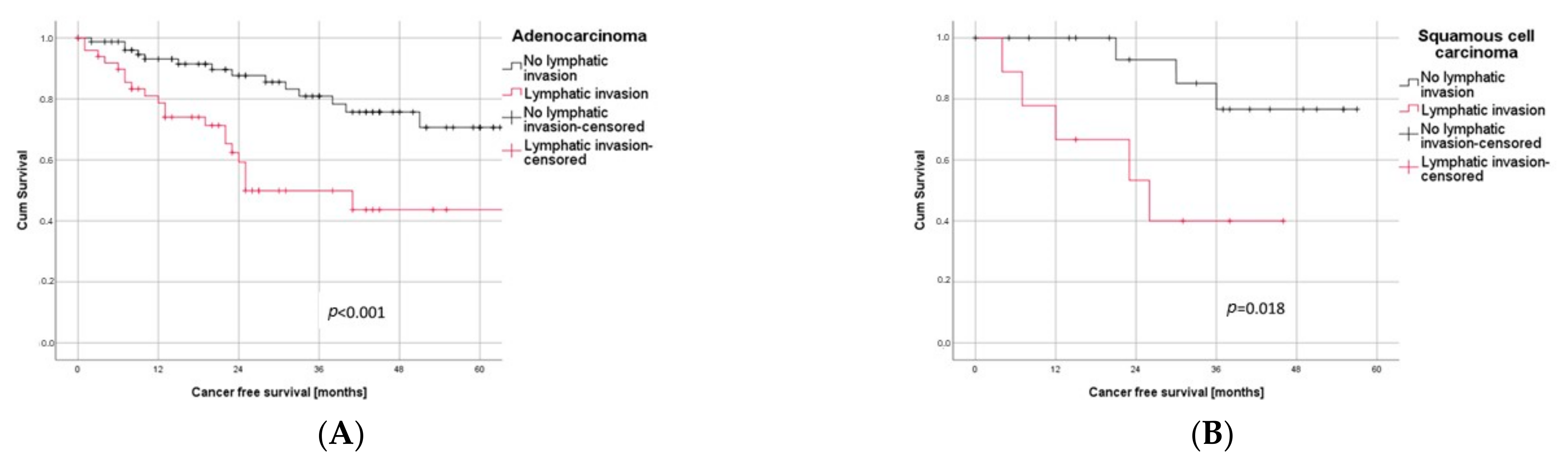 Cancers 14 01893 g003 Cancers 14 01893 g003