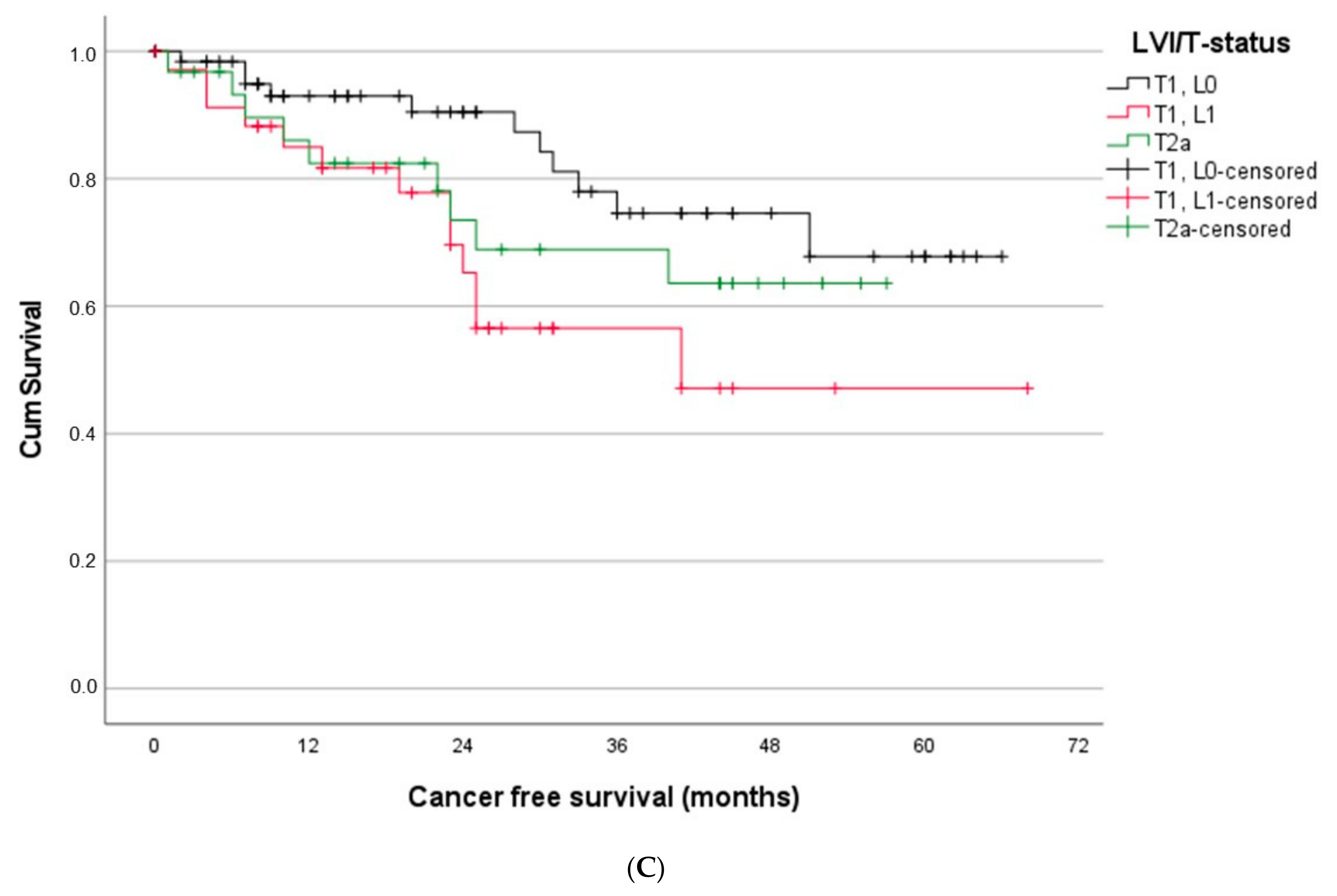 Cancers 14 01893 g004b Cancers 14 01893 g004b