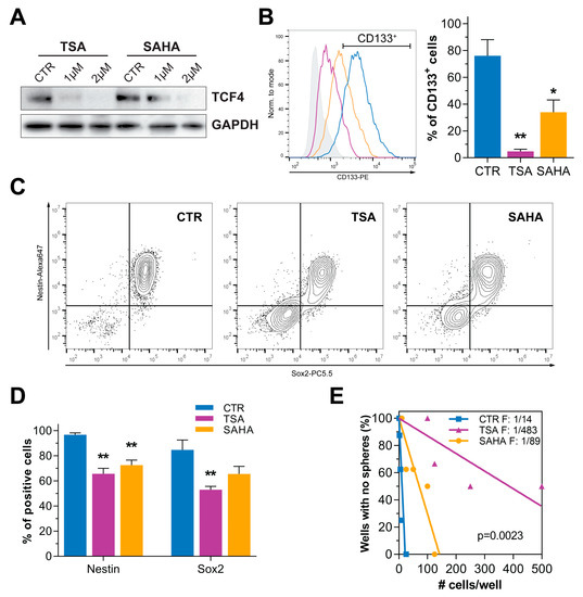 shaking AMP-activated protein kinase-dependent nuclear localization