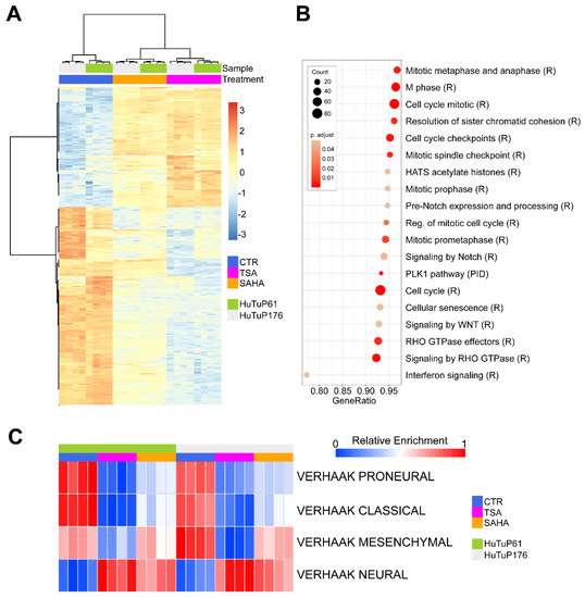 Histone Deacetylase Inhibitors Impair Glioblastoma Cell Histone Deacetylase Inhibitors Impair Glioblastoma Cell