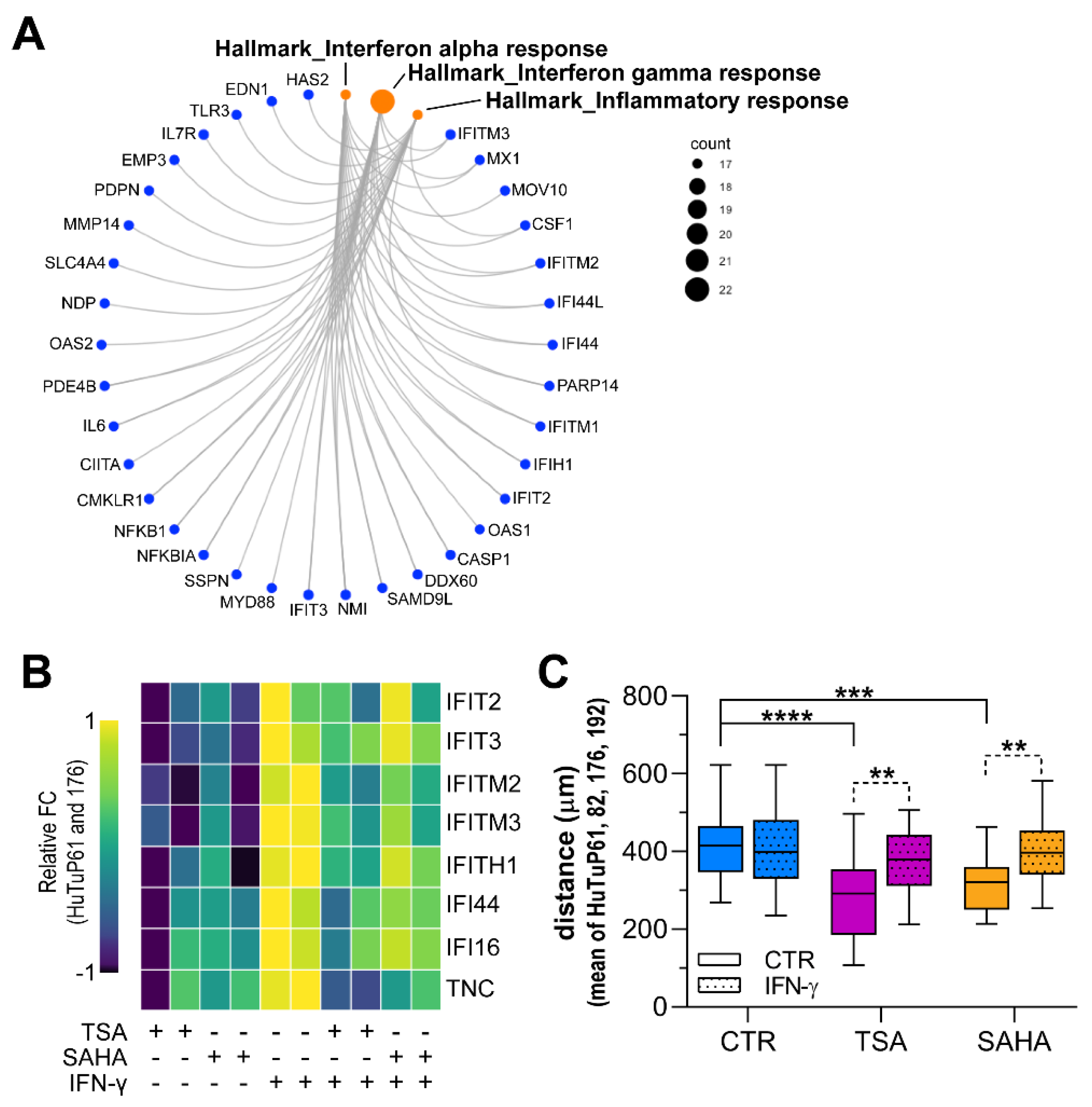 Cancers 14 01897 g007 Cancers 14 01897 g007