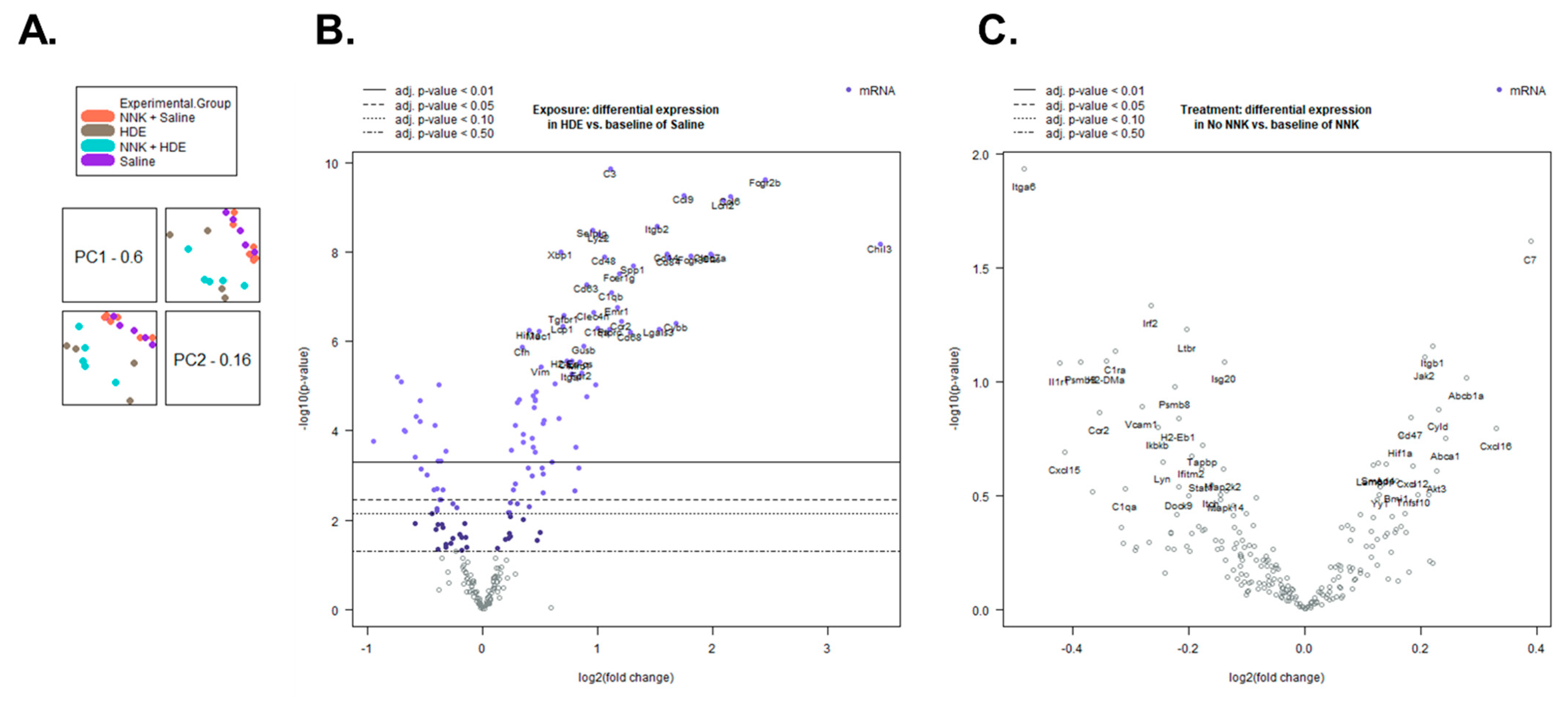 Cancers 14 01900 g007