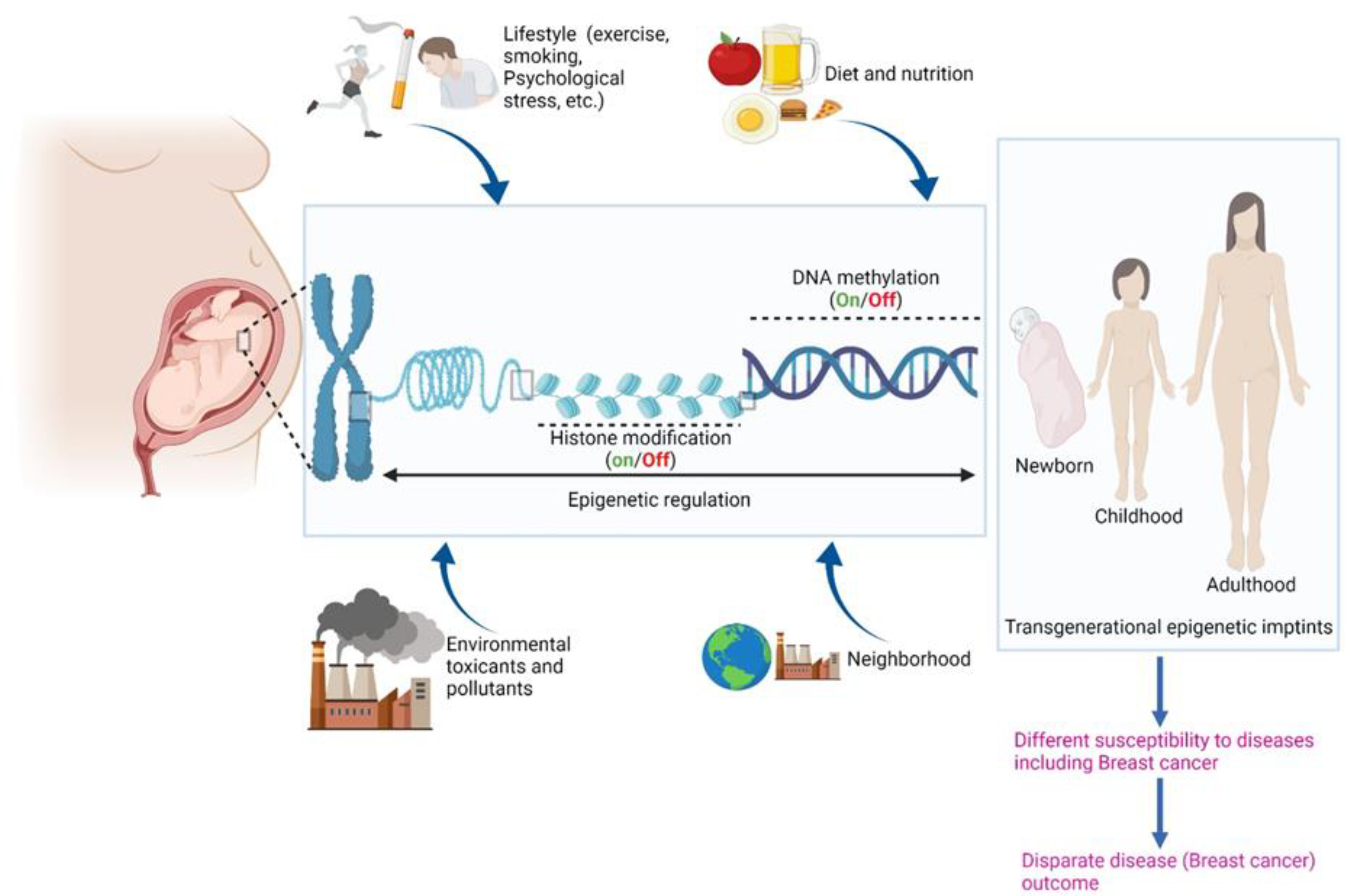 Cancers 14 01903 g001 550