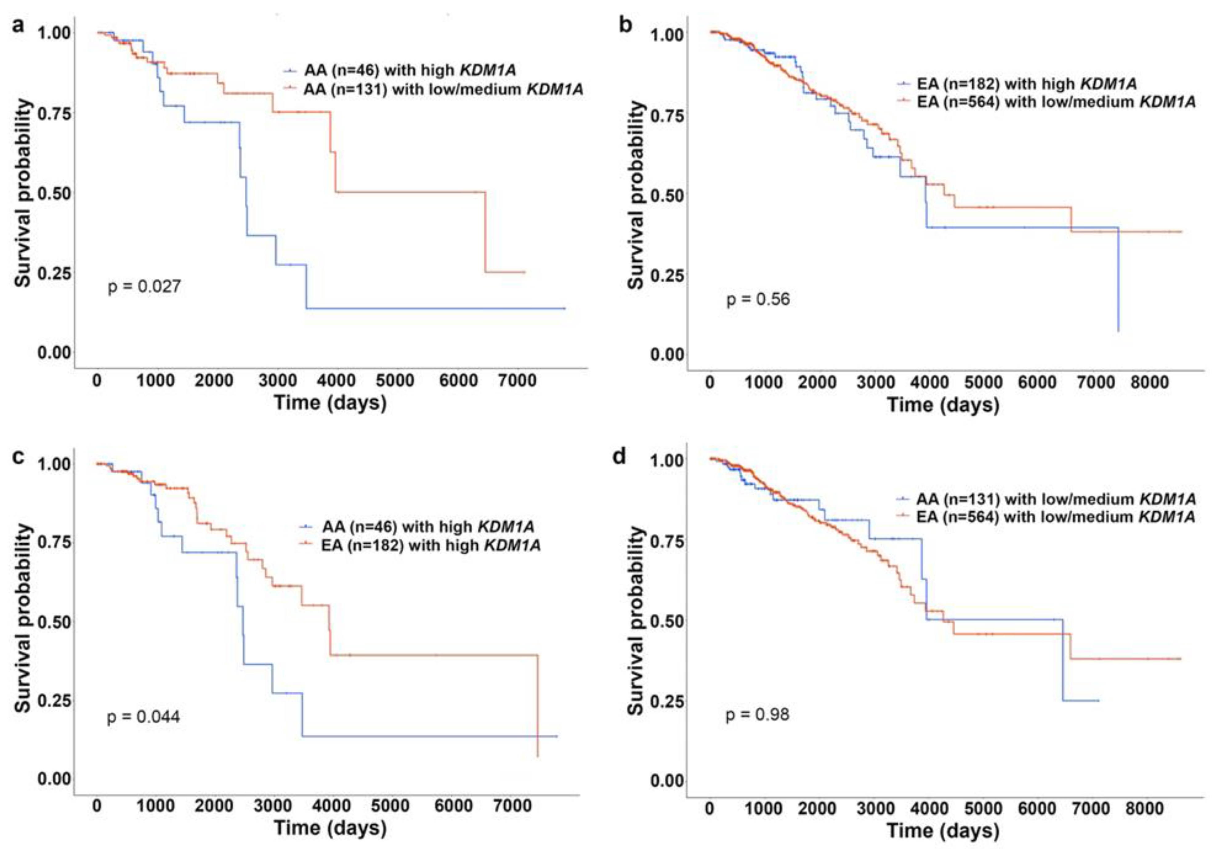 Cancers 14 01903 g004 550