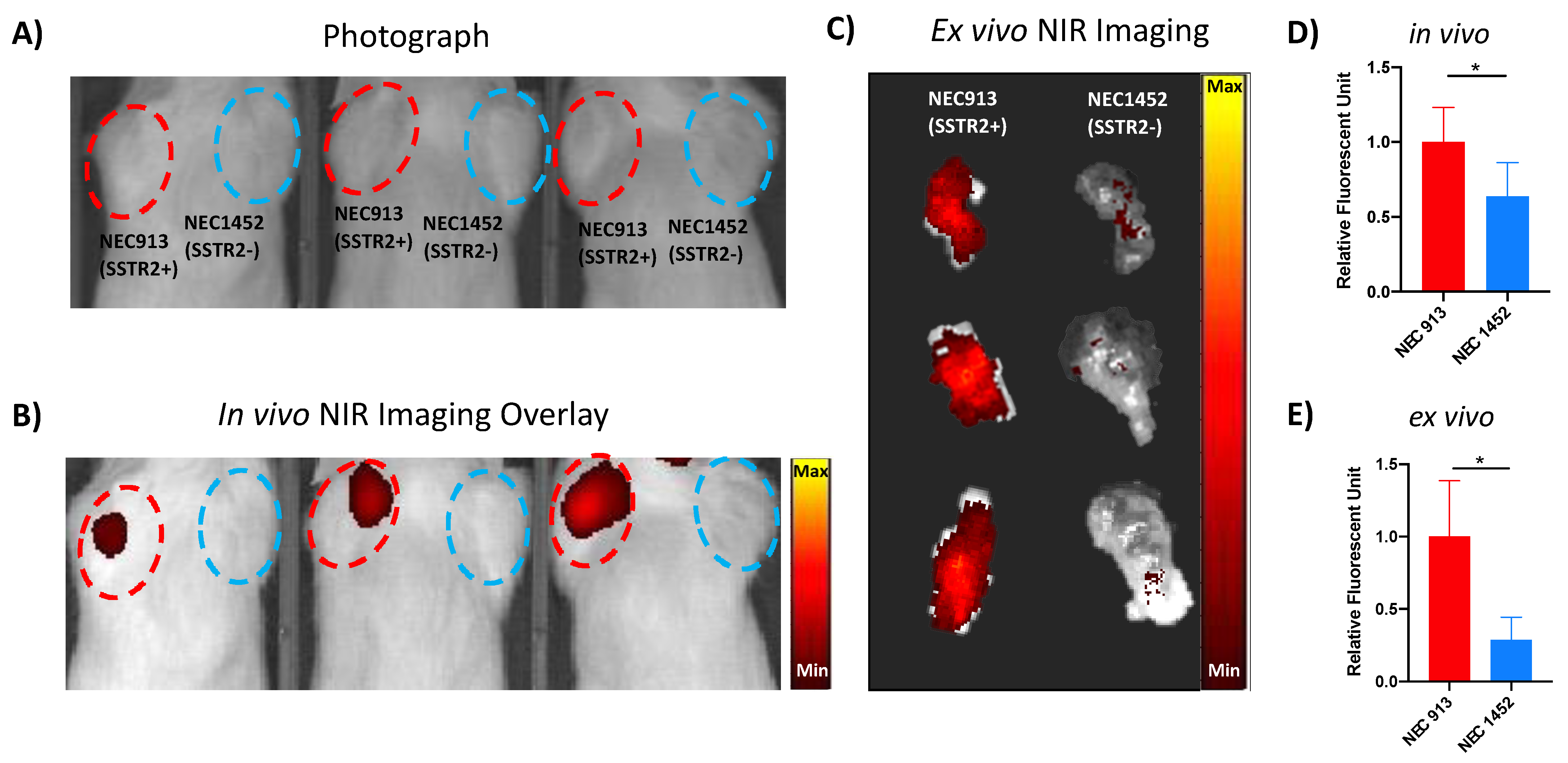 Cancers 14 01910 g004 Cancers 14 01910 g004