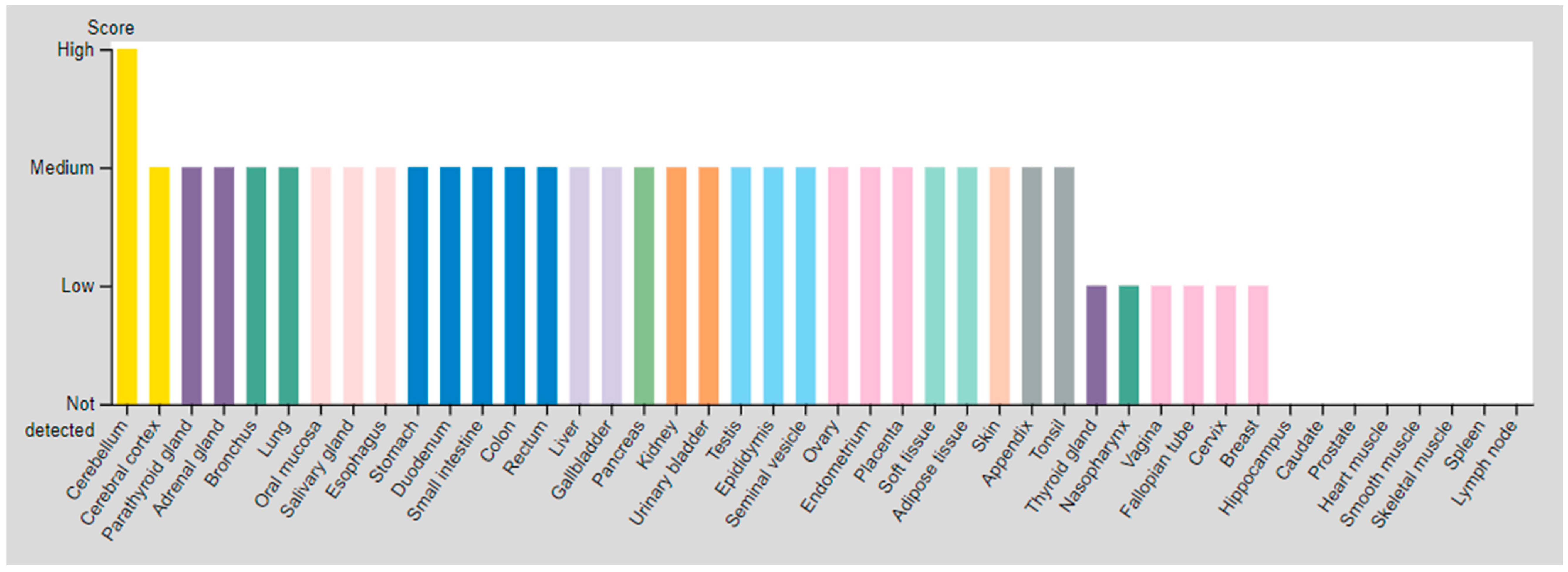 Cancers 14 01914 g001a