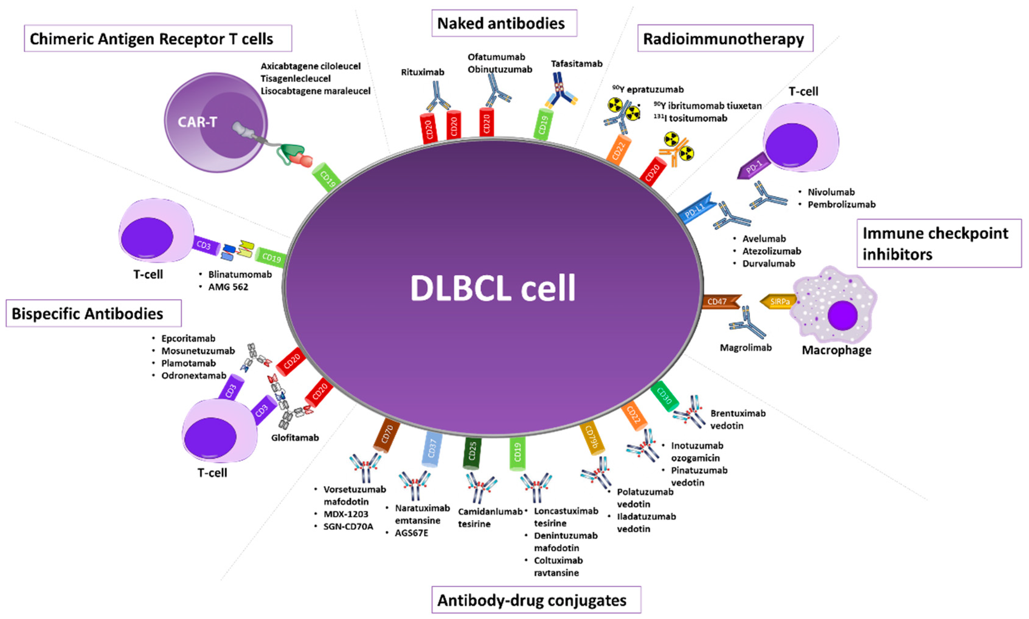 Monoclonal Antibodies in the Treatment of Diffuse Large B