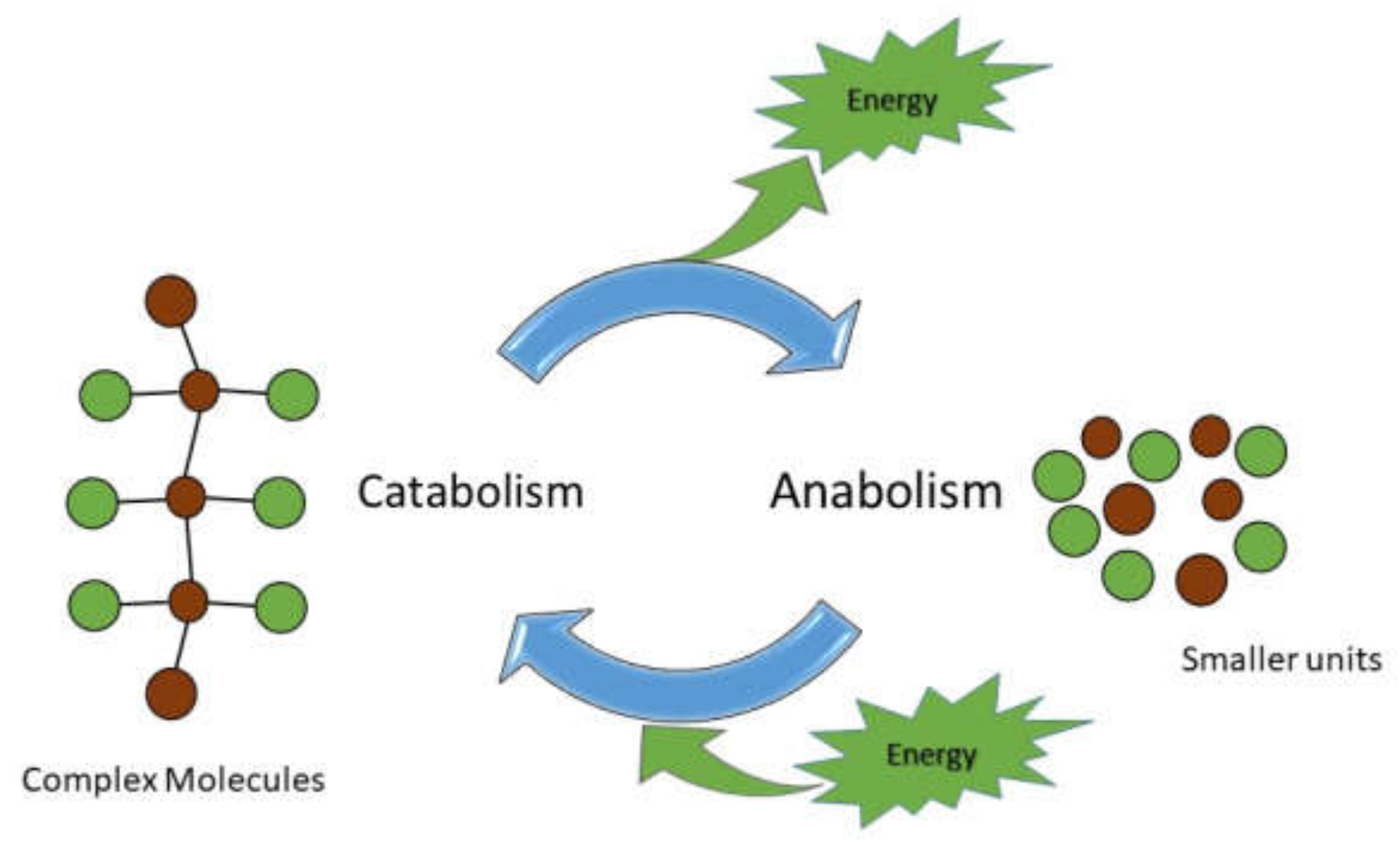 Cancers 14 01929 g003