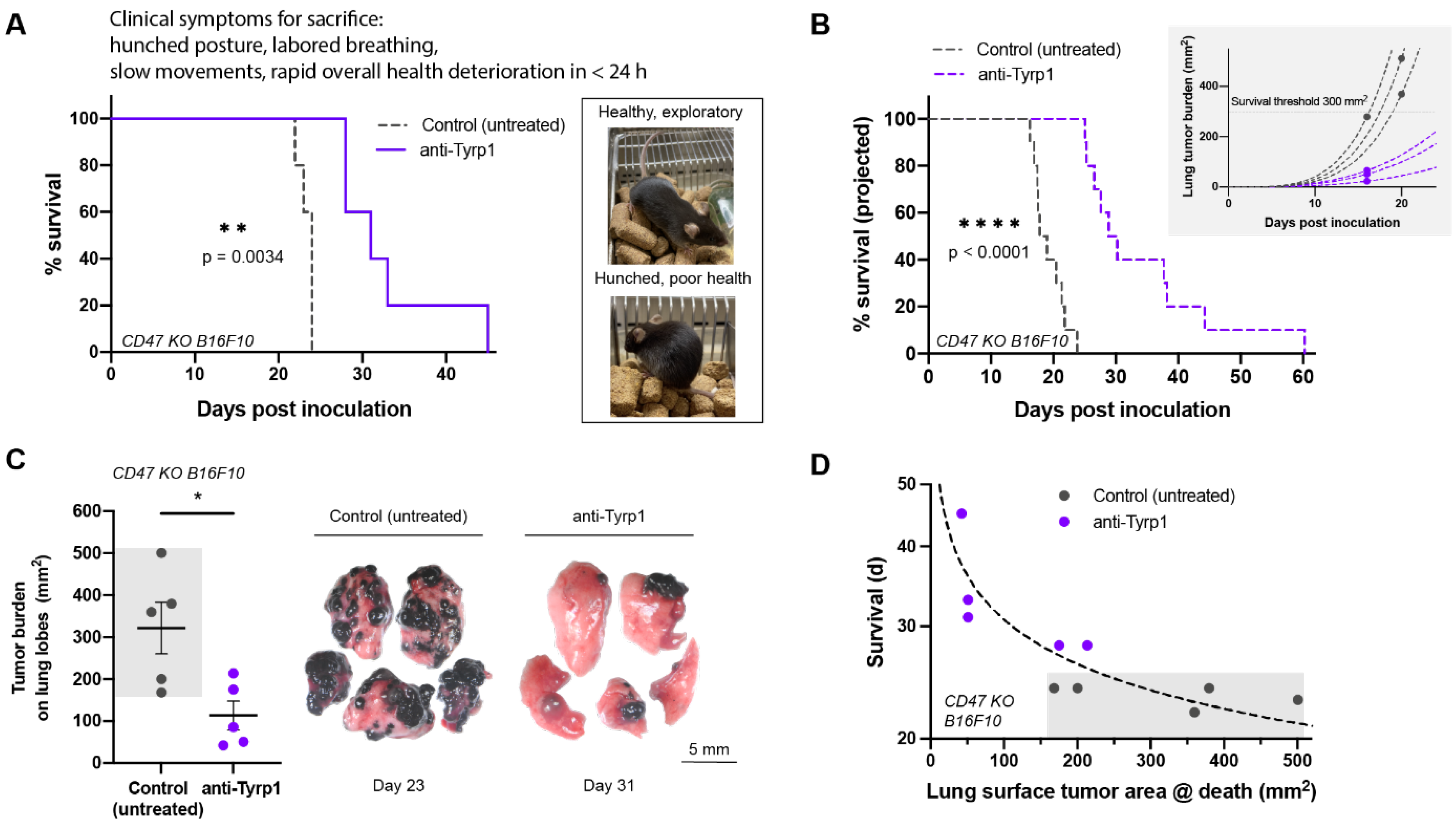 Cancers 14 01930 g004 550