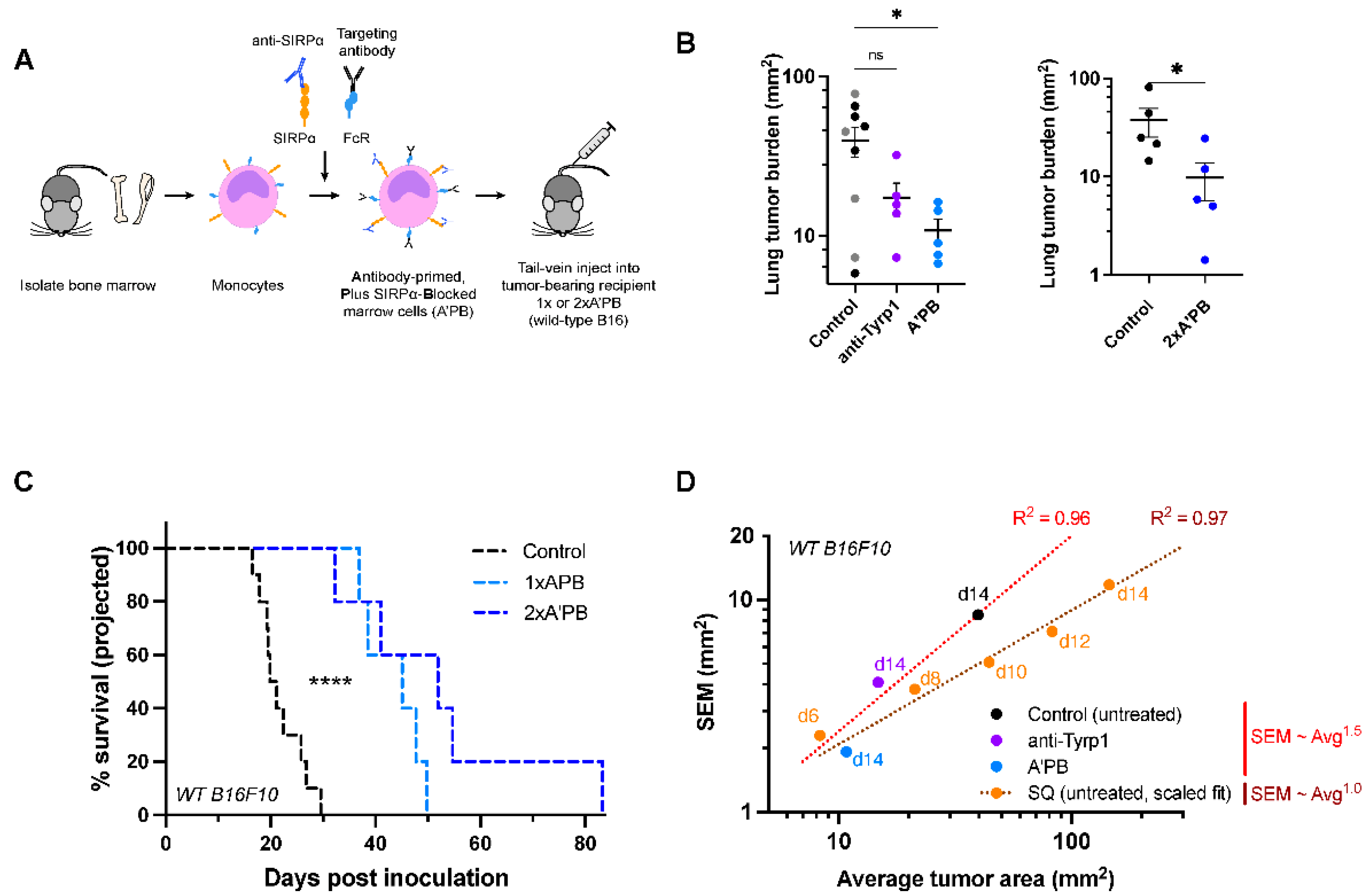 Cancers 14 01930 g005 550