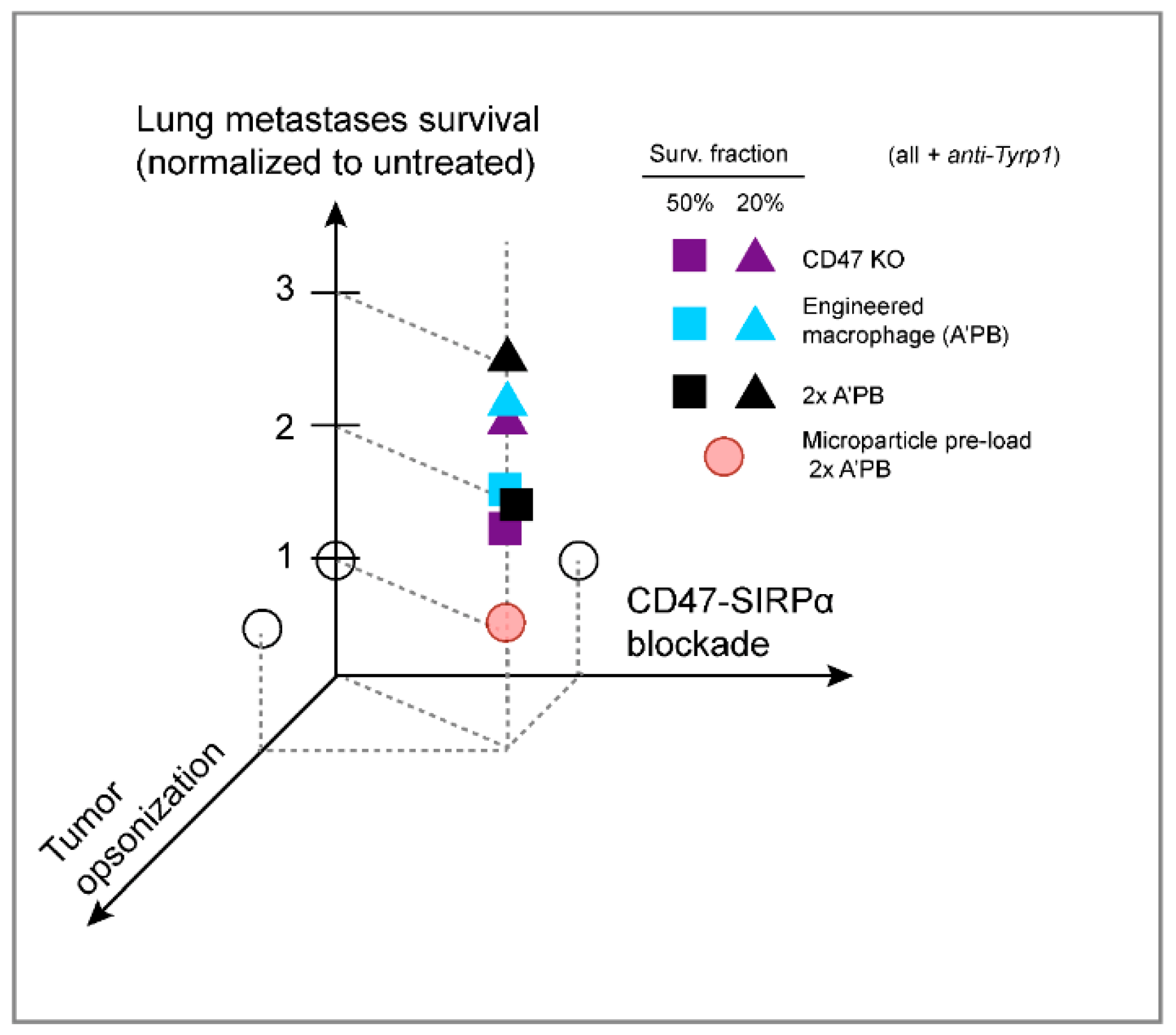Cancers 14 01930 g008 550