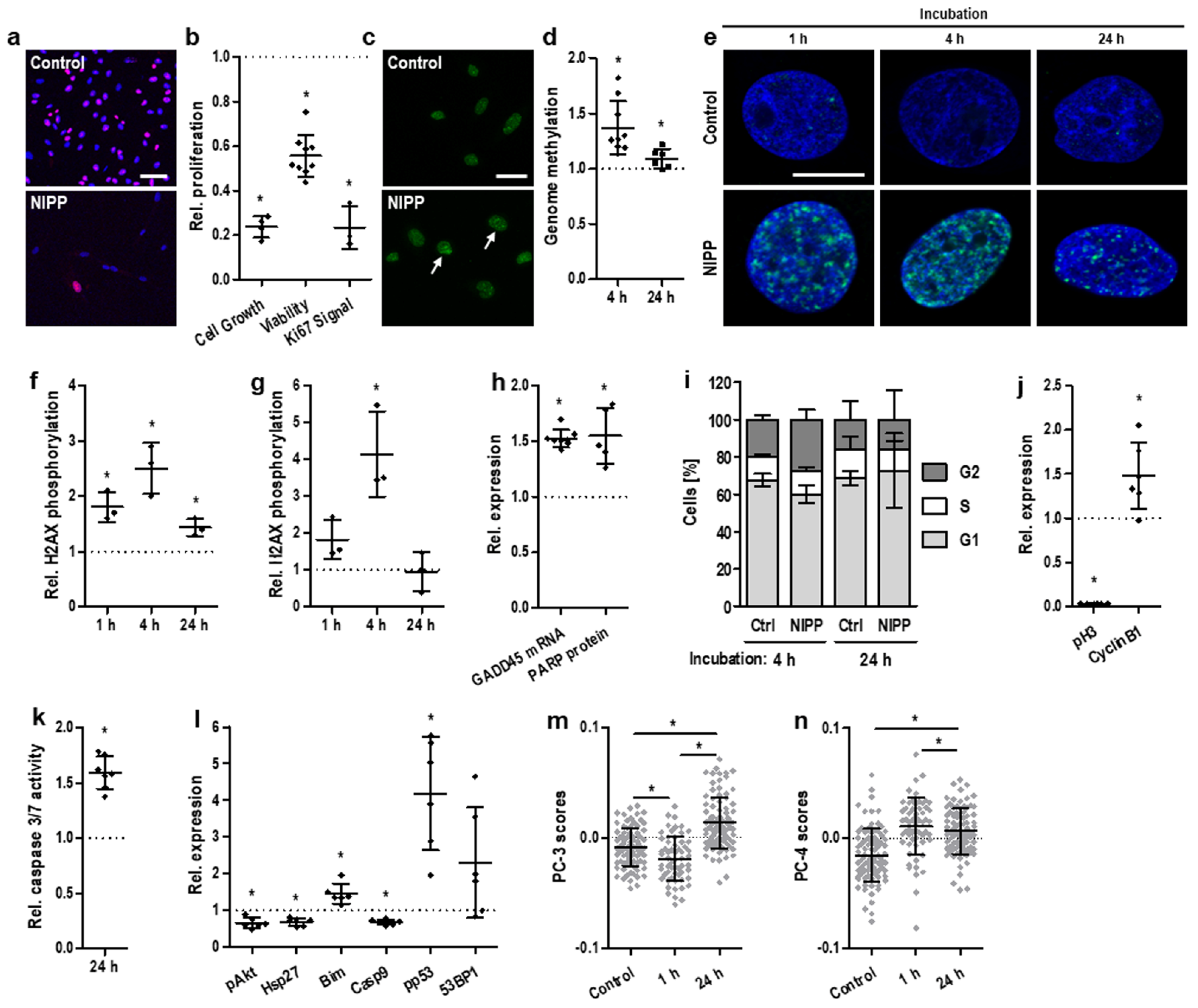 Cancers 14 01933 g001 Cancers 14 01933 g001