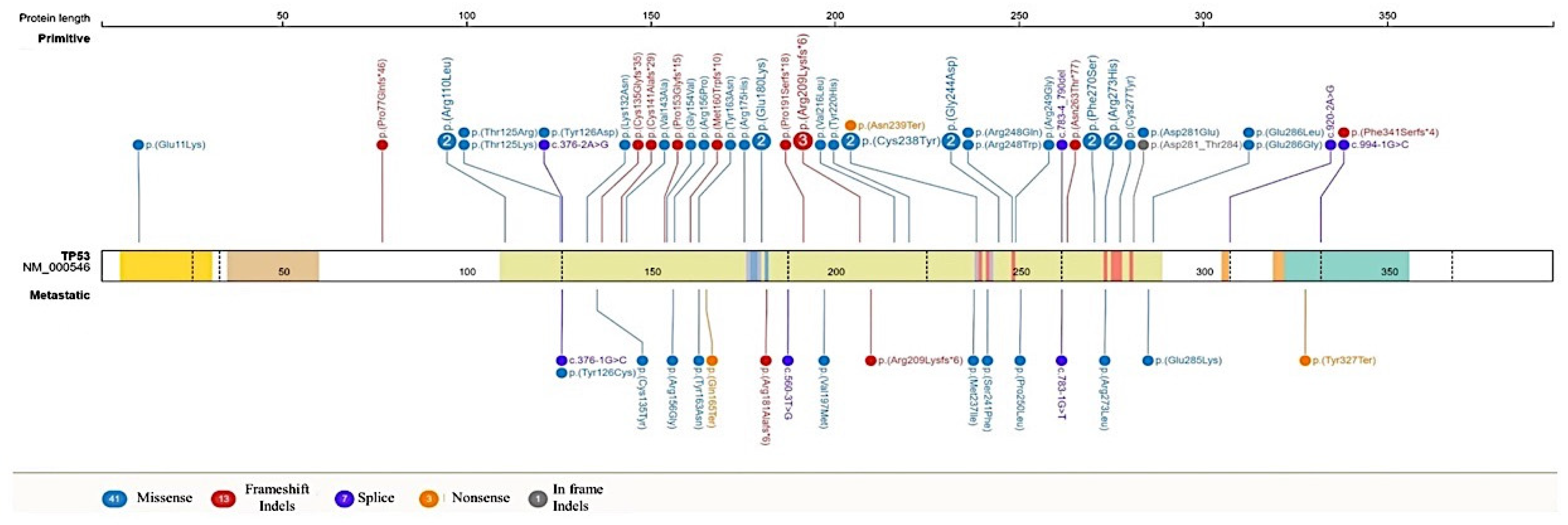 Cancers 14 01934 g003 550