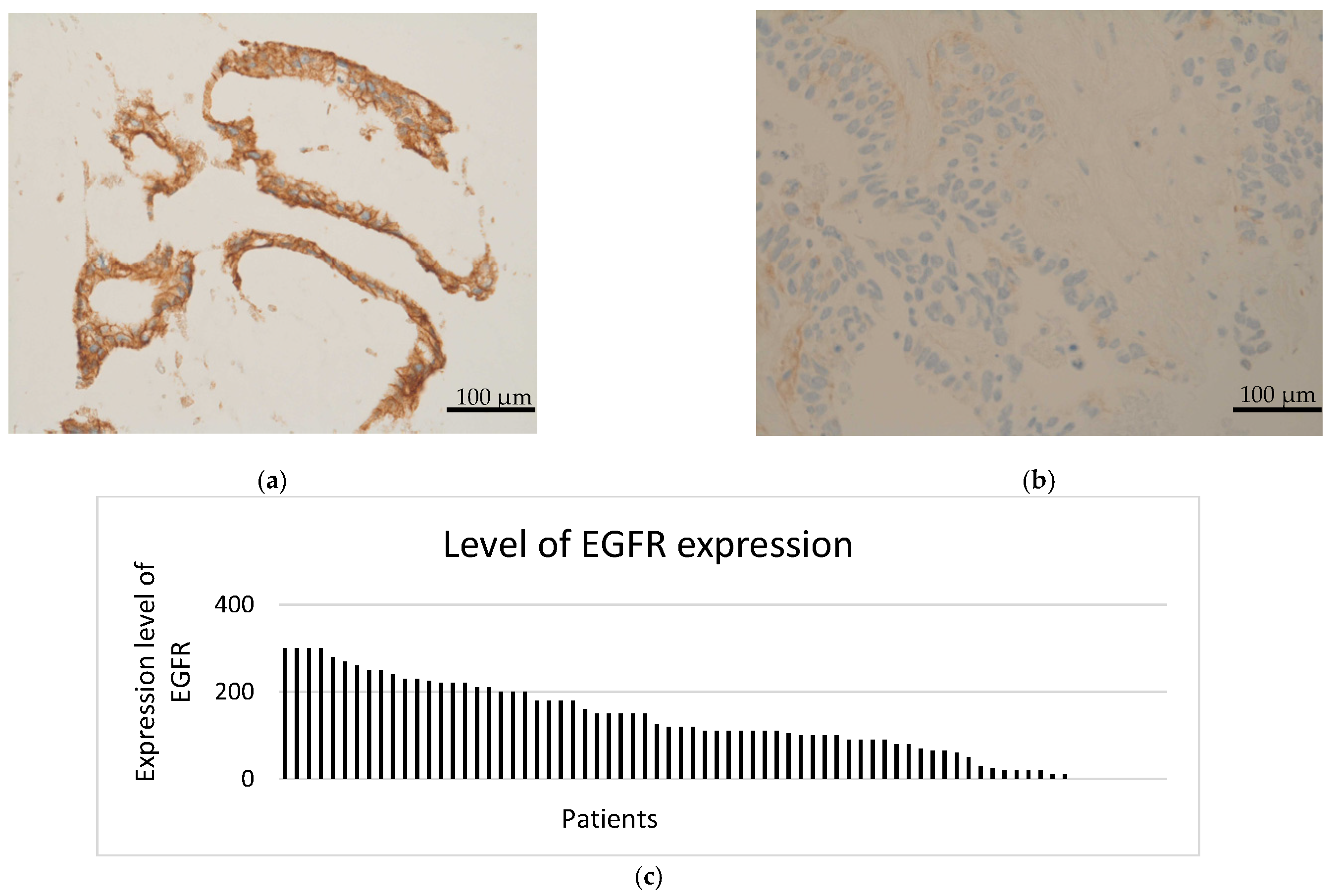 Cancers 14 01936 g002 550