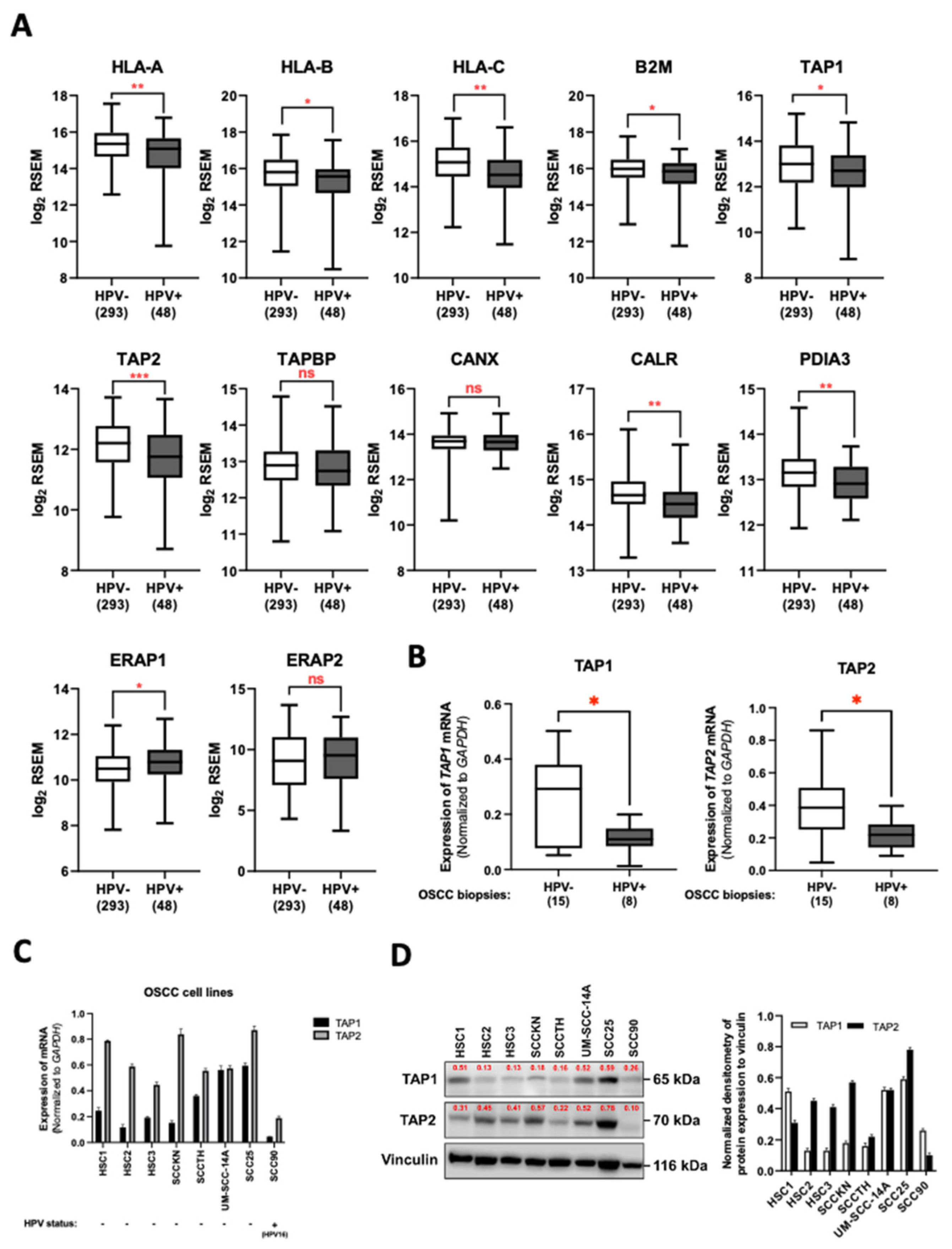 Cancers 14 01944 g001