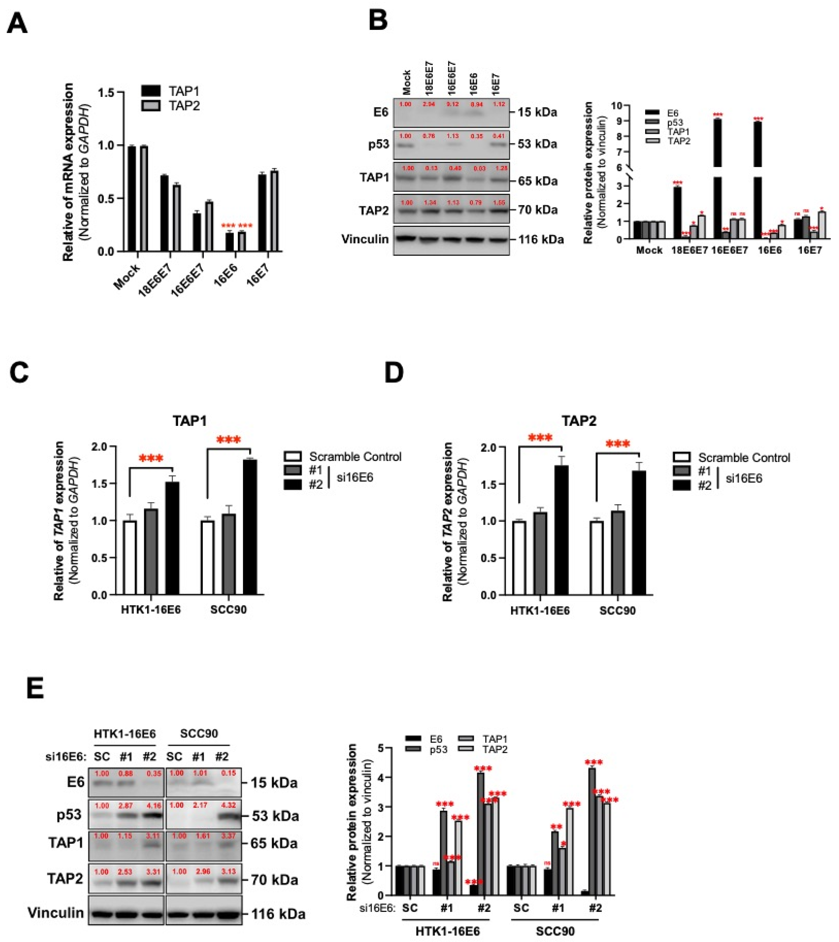 Cancers 14 01944 g003