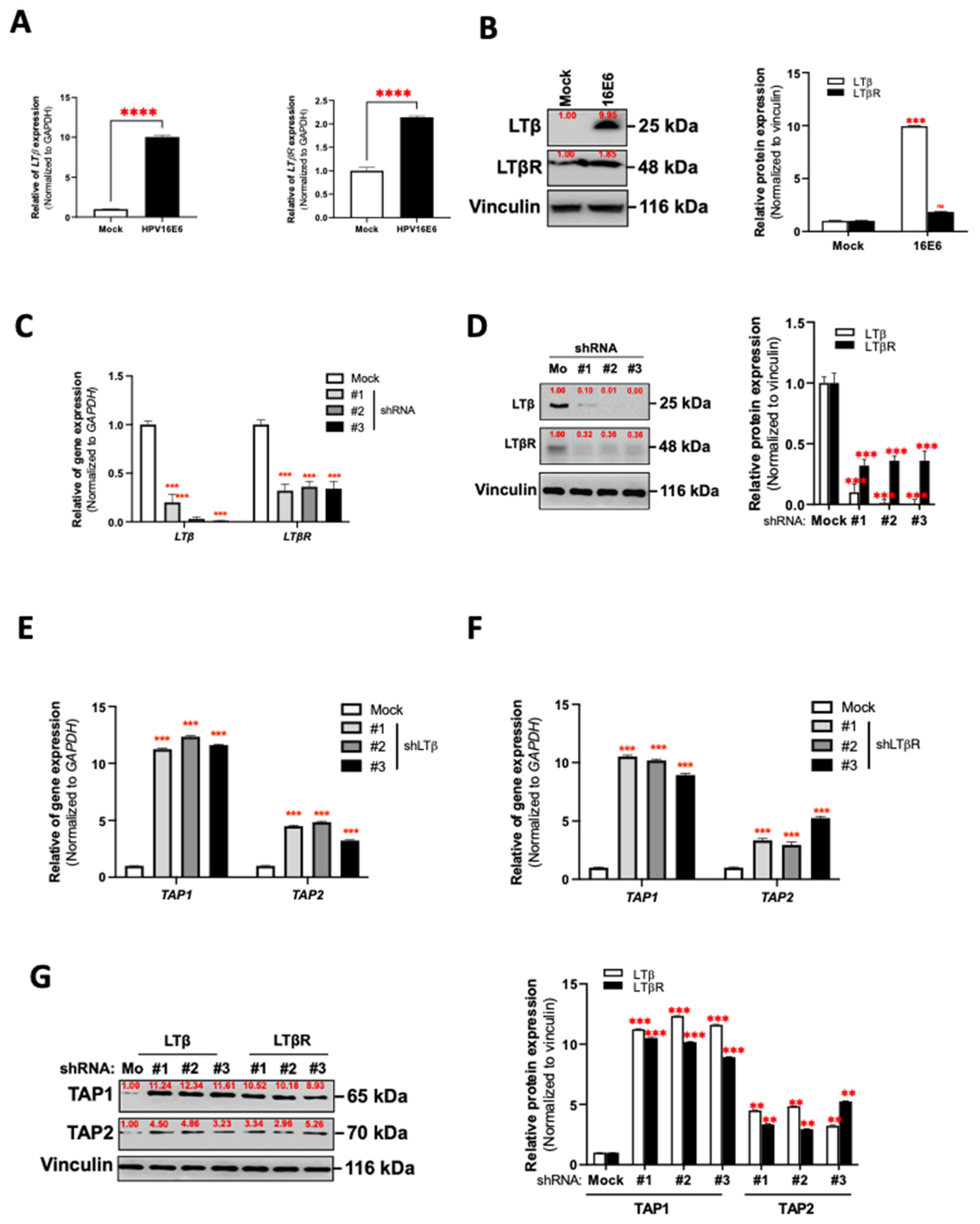 Cancers 14 01944 g005