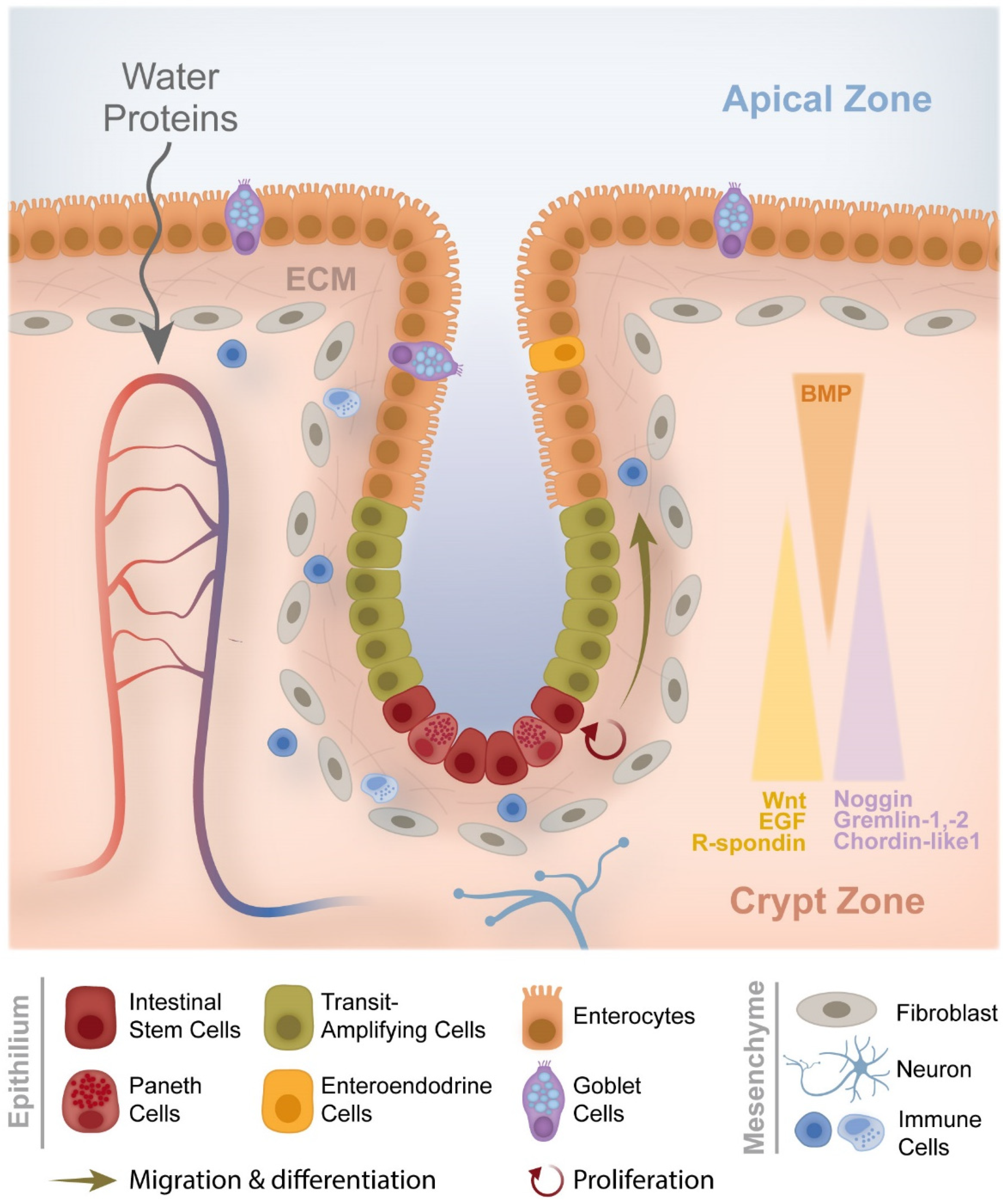Cancers 14 01945 g002 Cancers 14 01945 g002