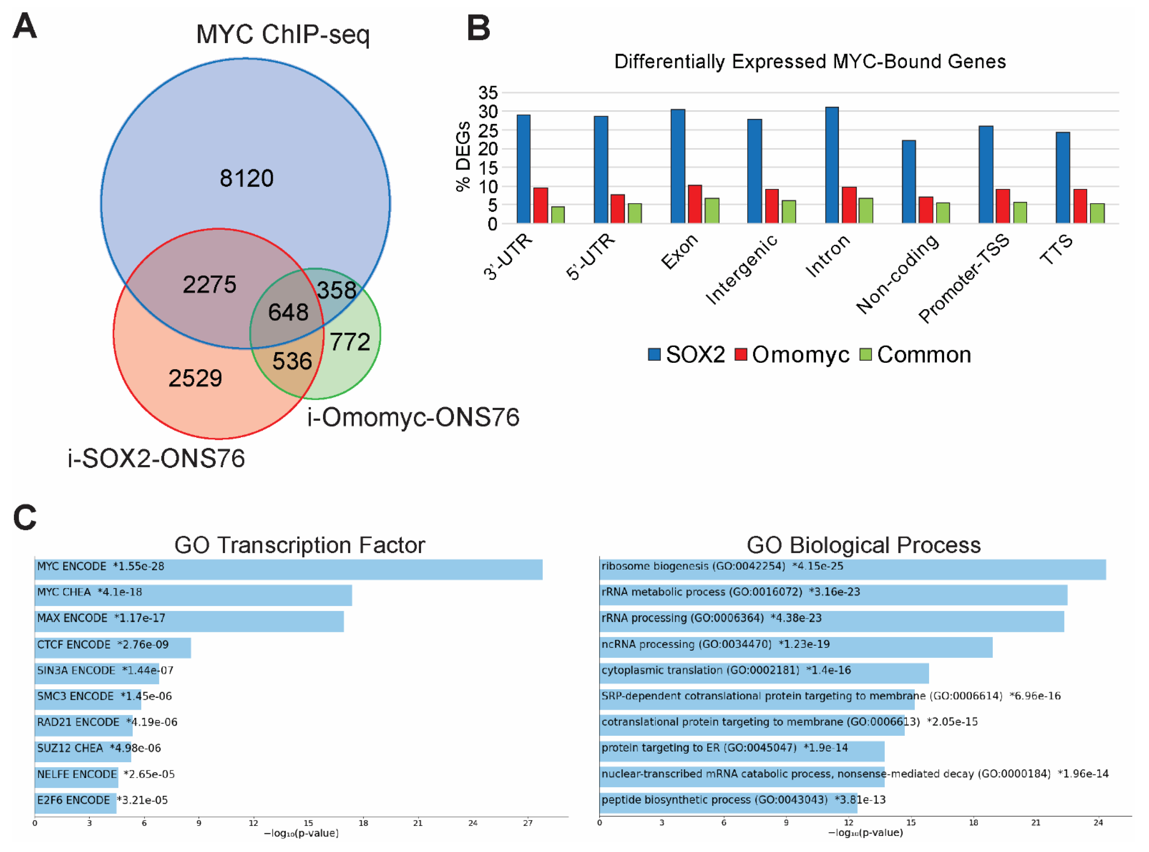 Cancers 14 01946 g005