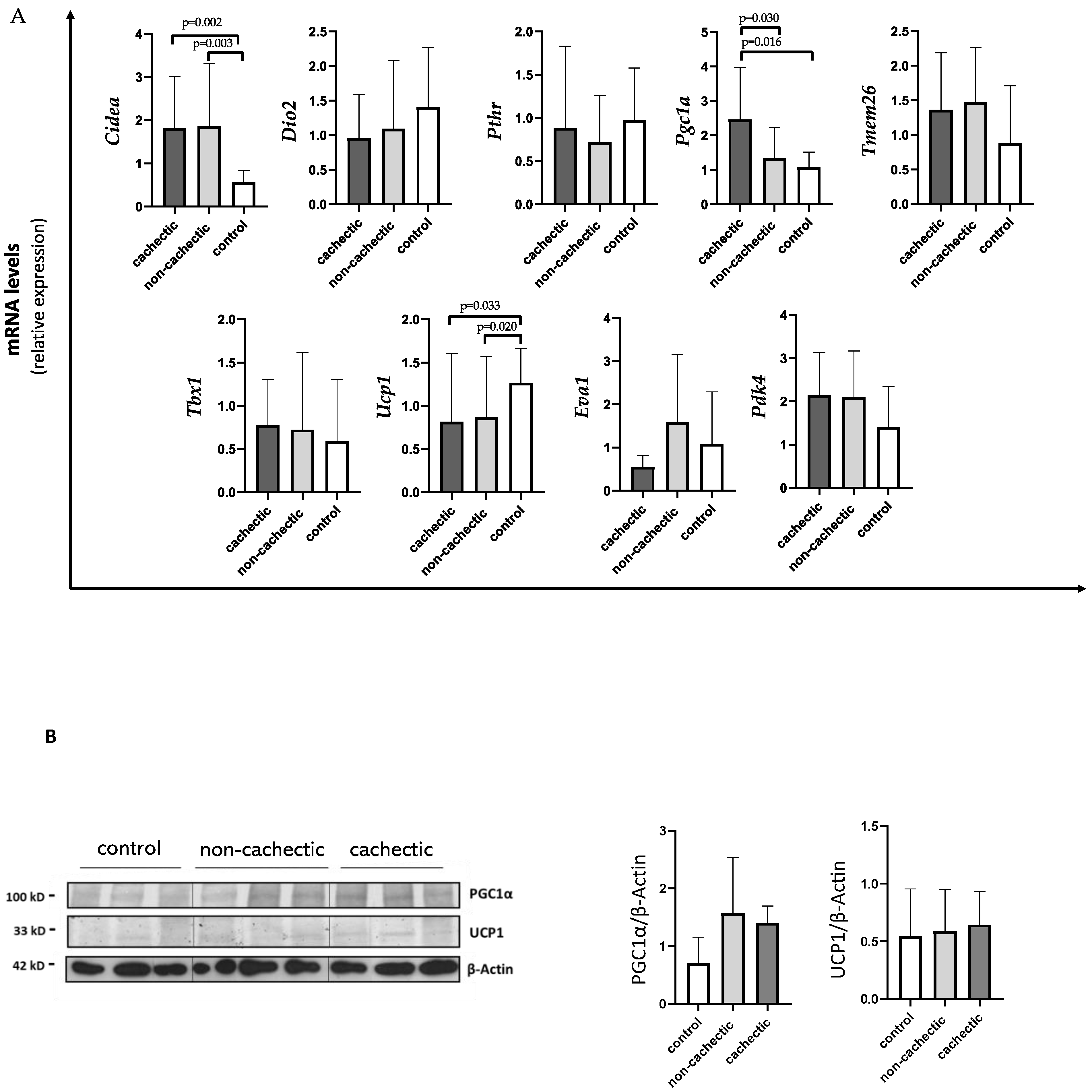 Cancers 14 01948 g002