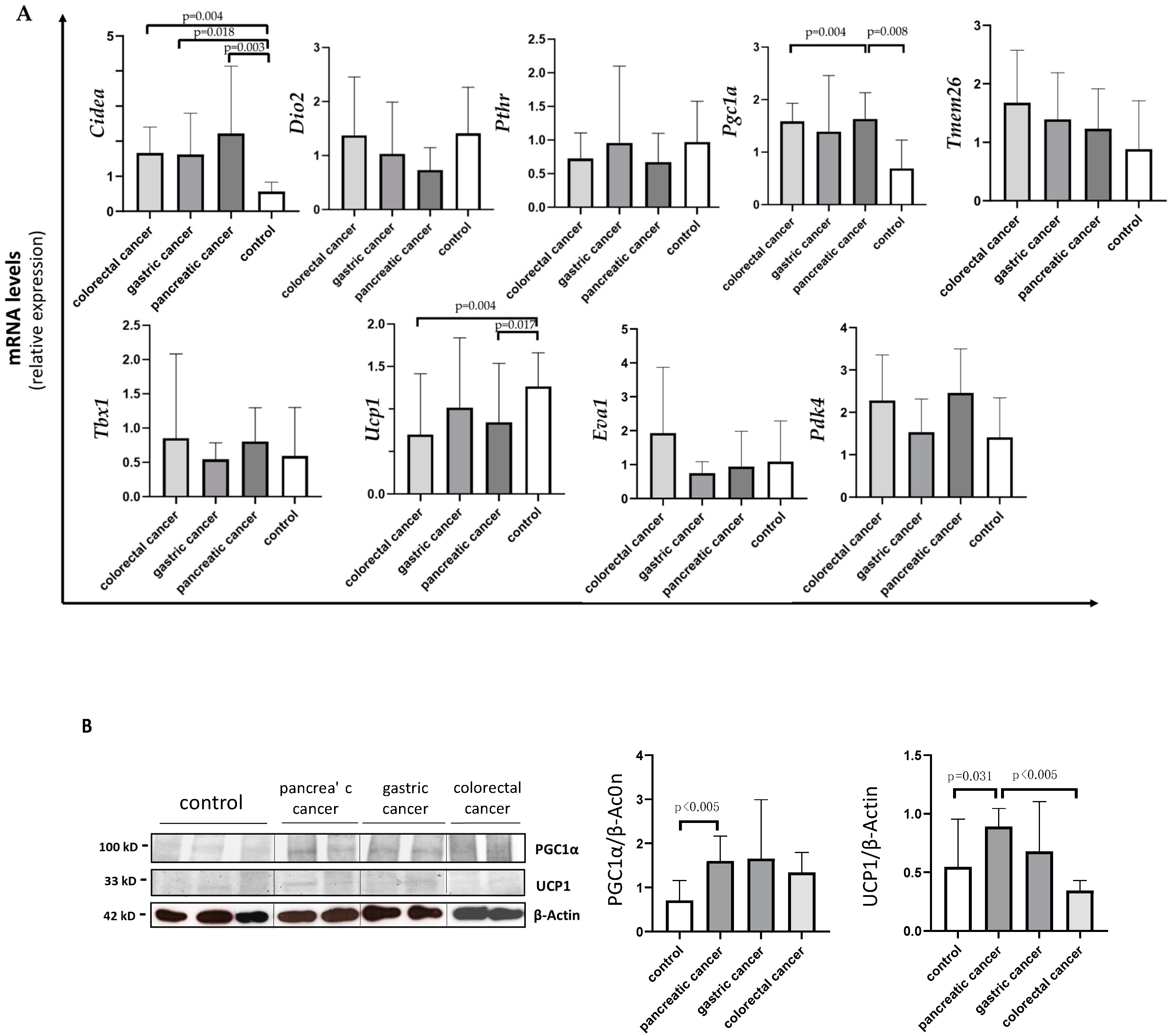 Cancers 14 01948 g003