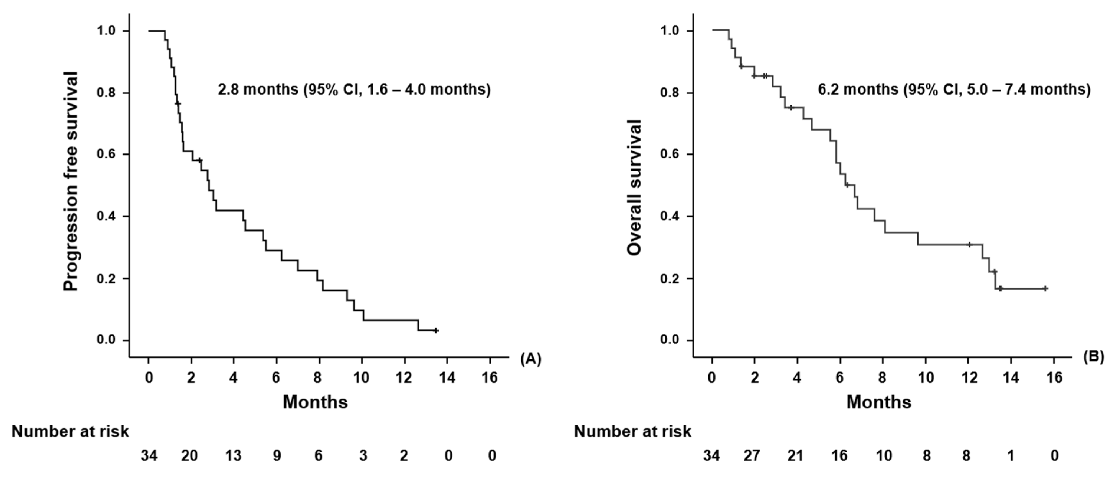 Cancers 14 01950 g001