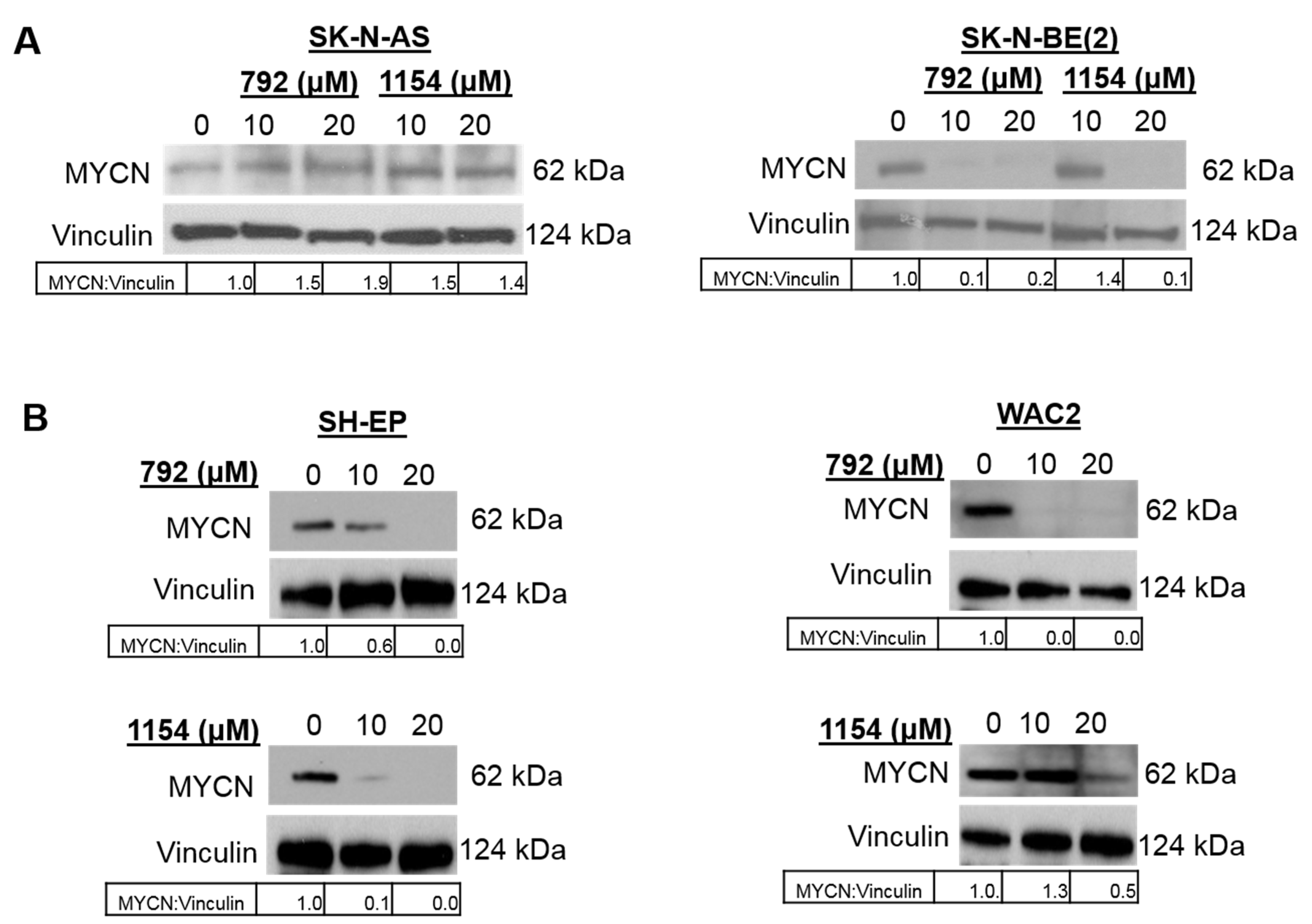 Cancers 14 01952 g007 Cancers 14 01952 g007