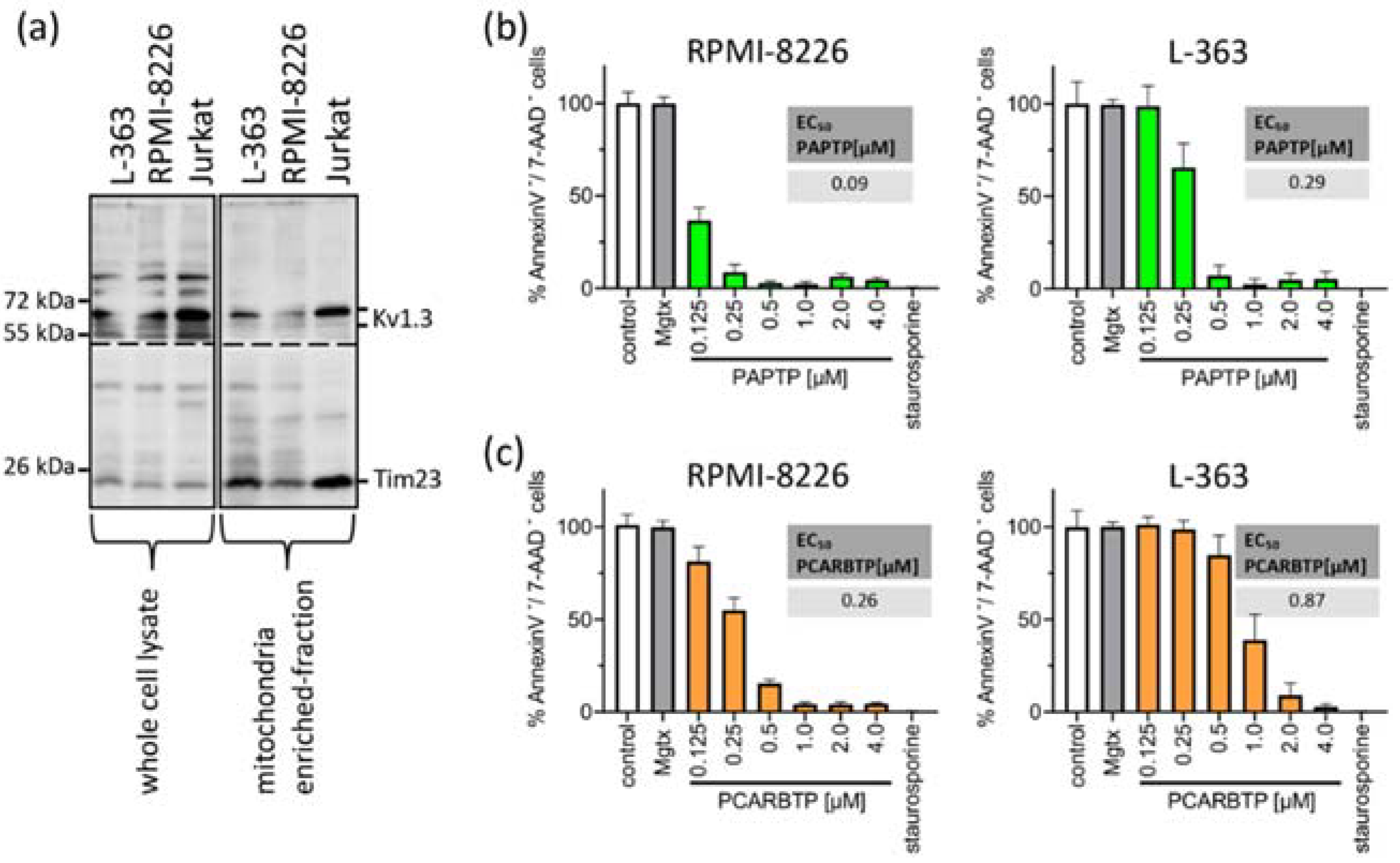 Cancers 14 01955 g001 550