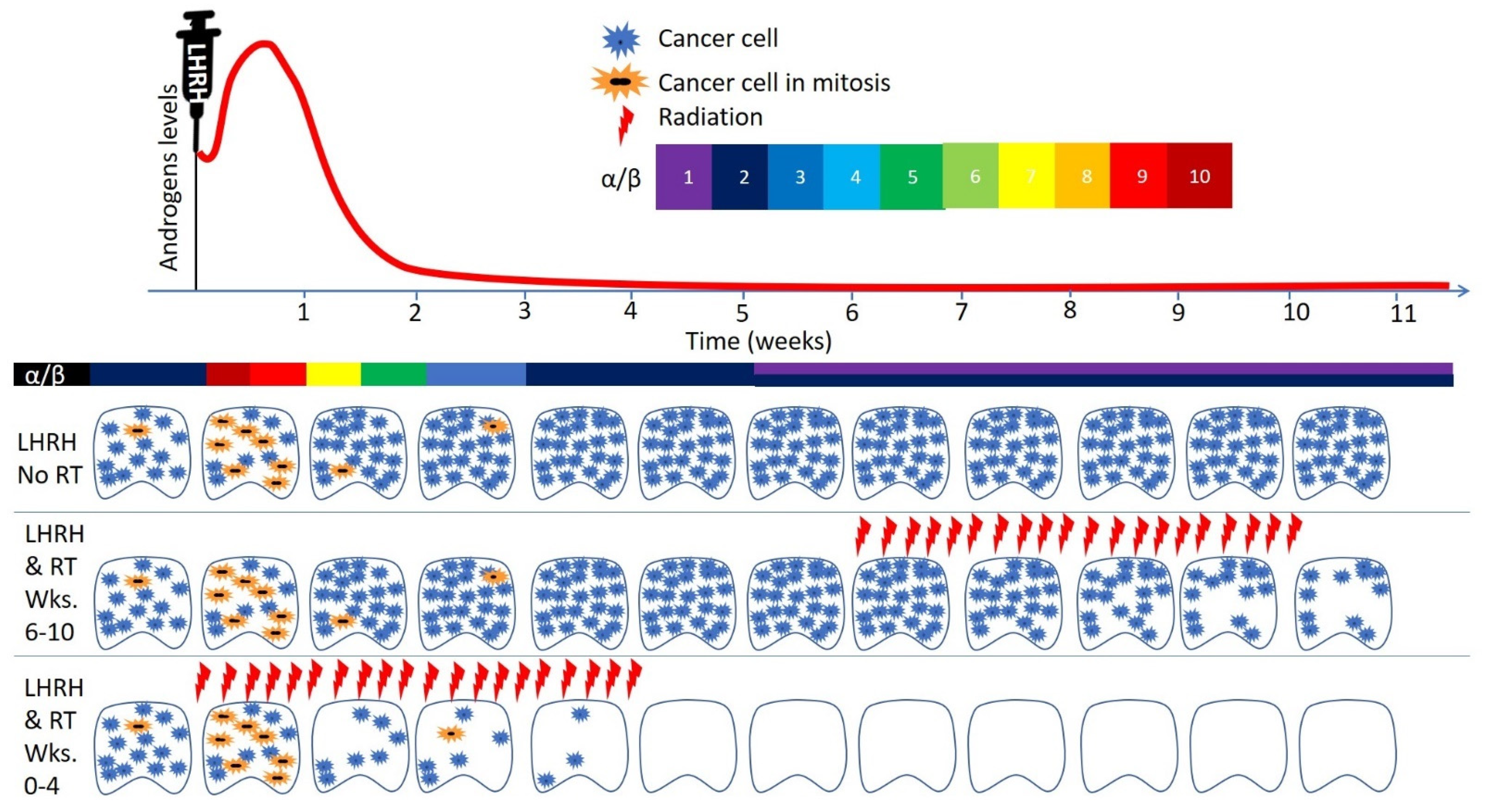 Cancers 14 01959 g003 Cancers 14 01959 g003