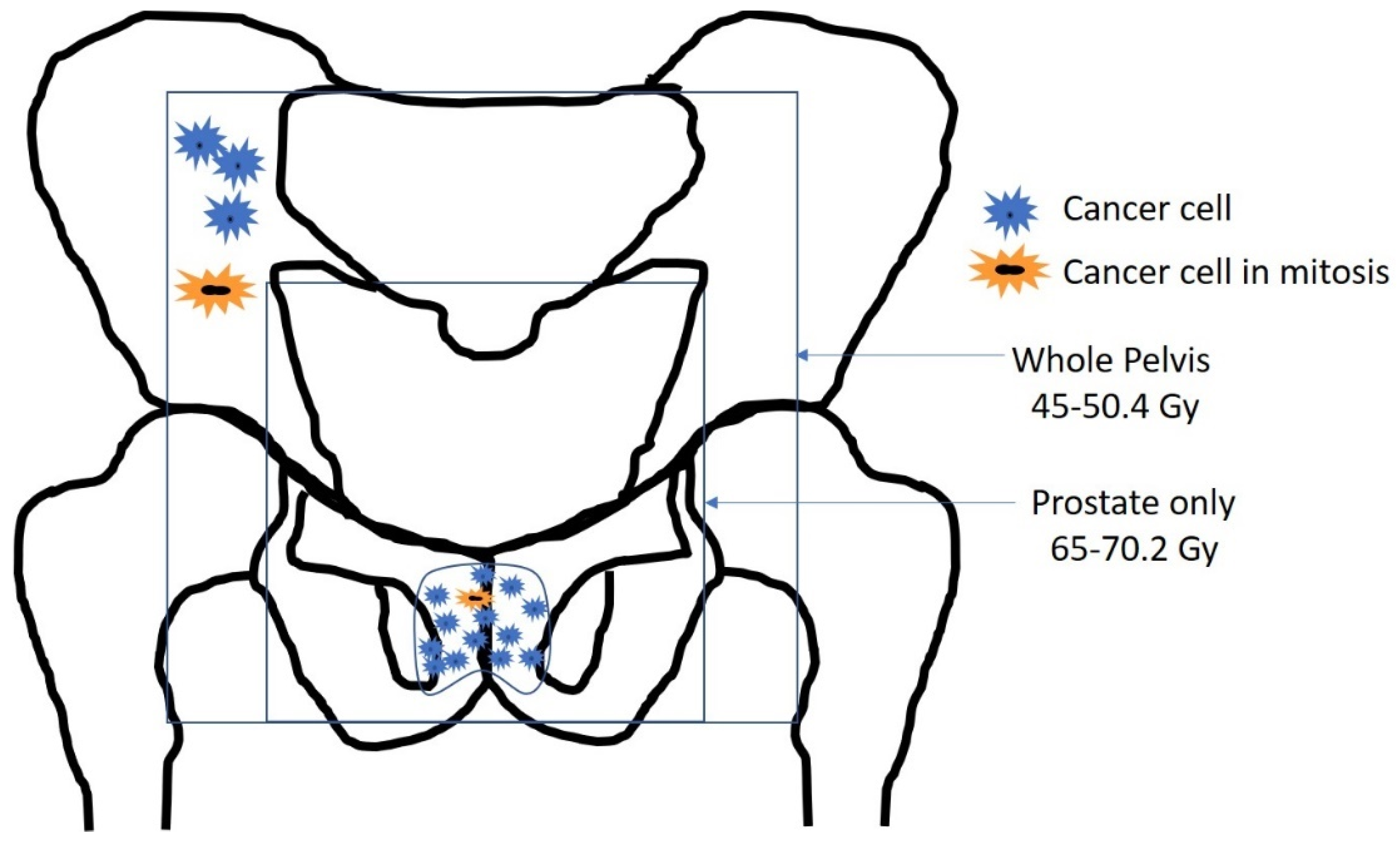 Cancers 14 01959 g005 Cancers 14 01959 g005