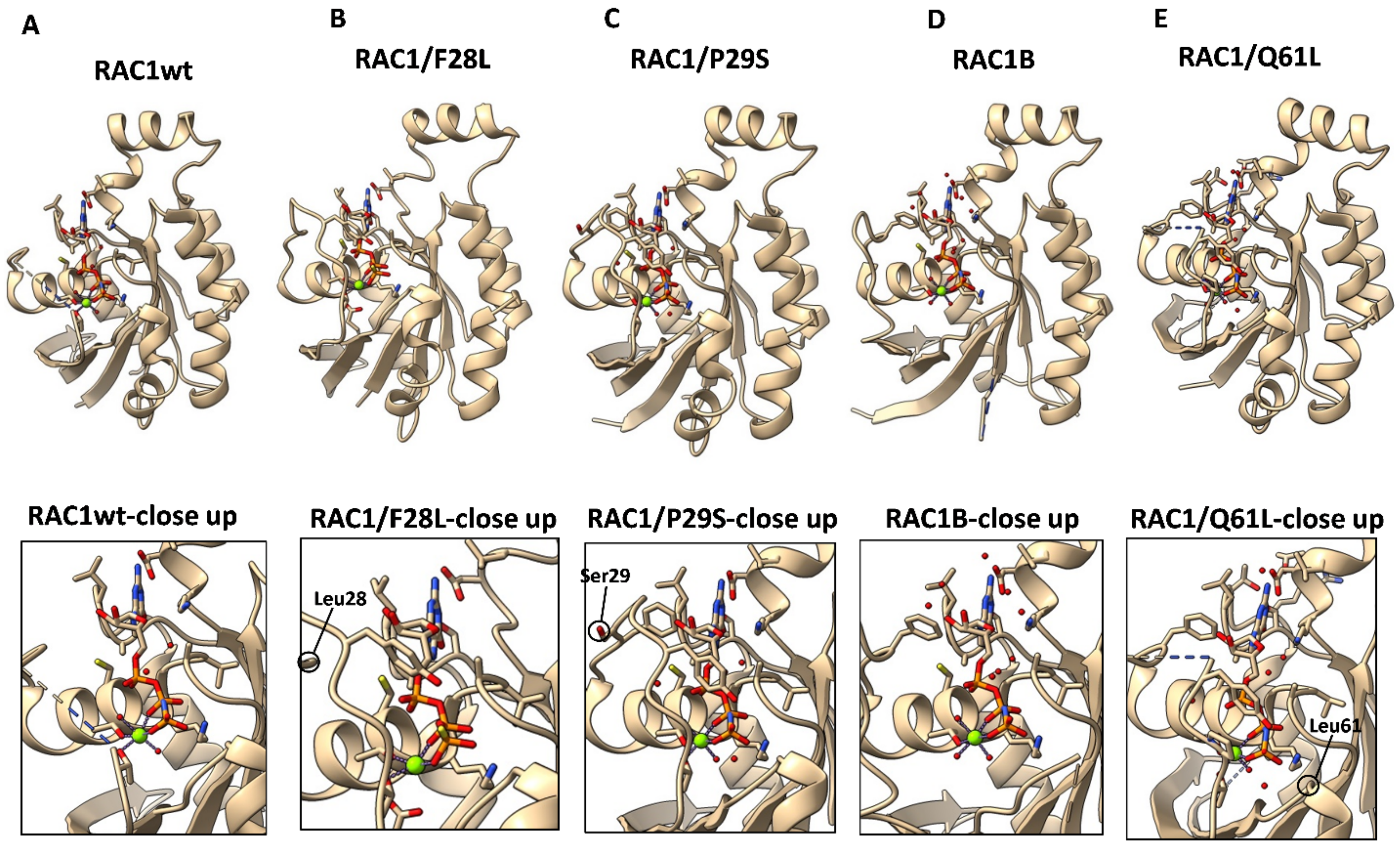 Cancers 14 01961 g004 Cancers 14 01961 g004
