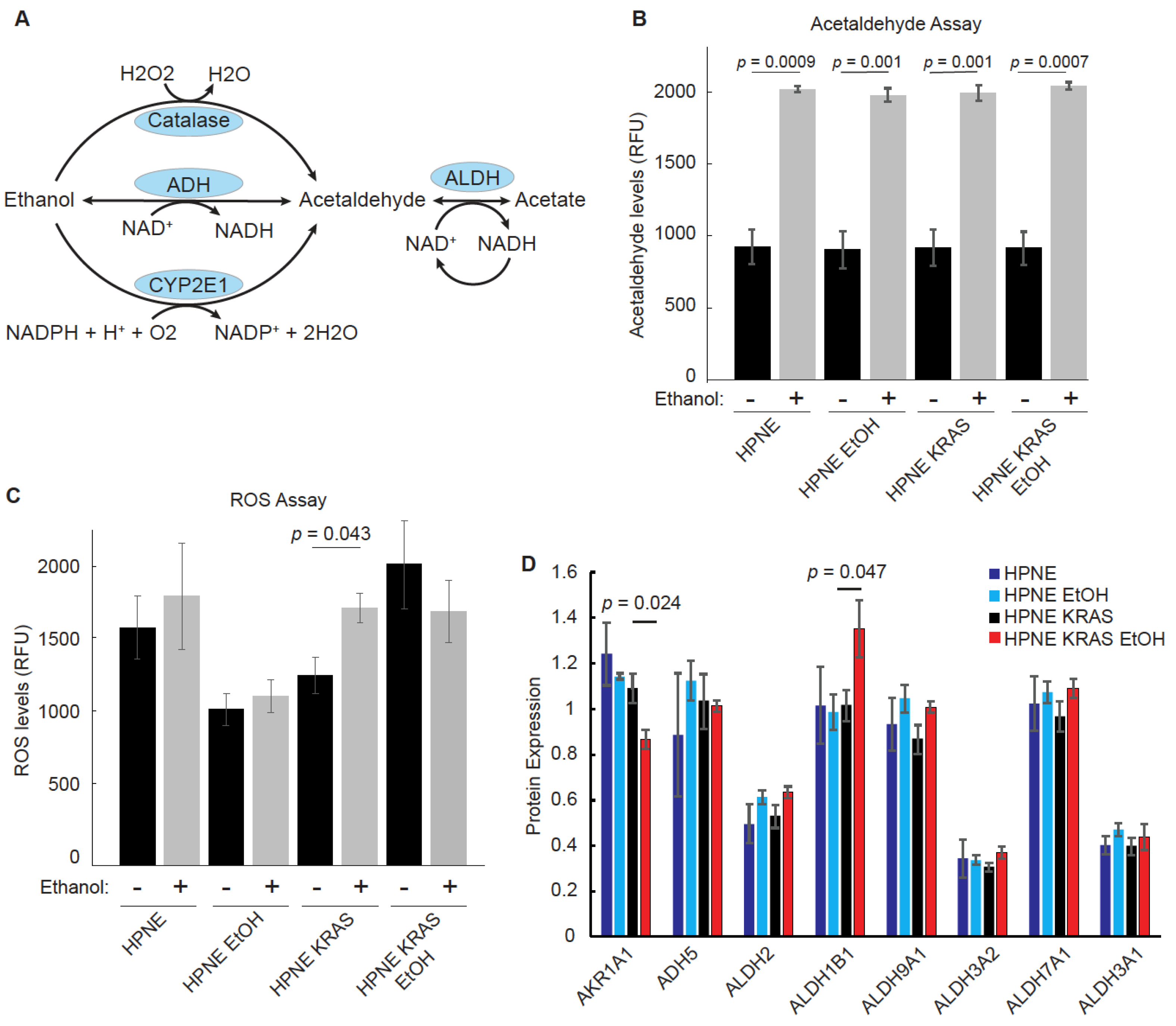 Cancers 14 01968 g004